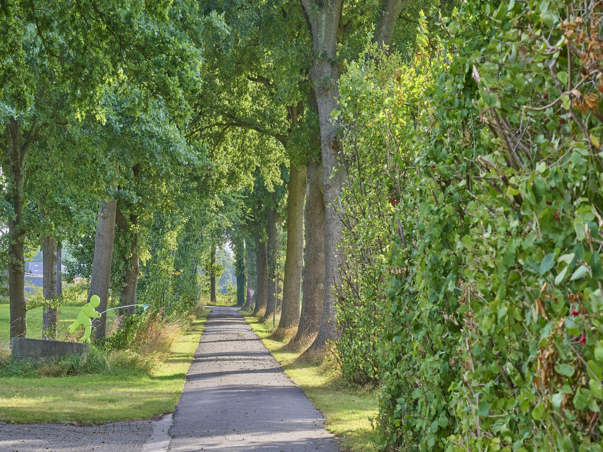 Authentieke woonboerderij met speelzolder en grote tuin in de Achterhoek - foto 65