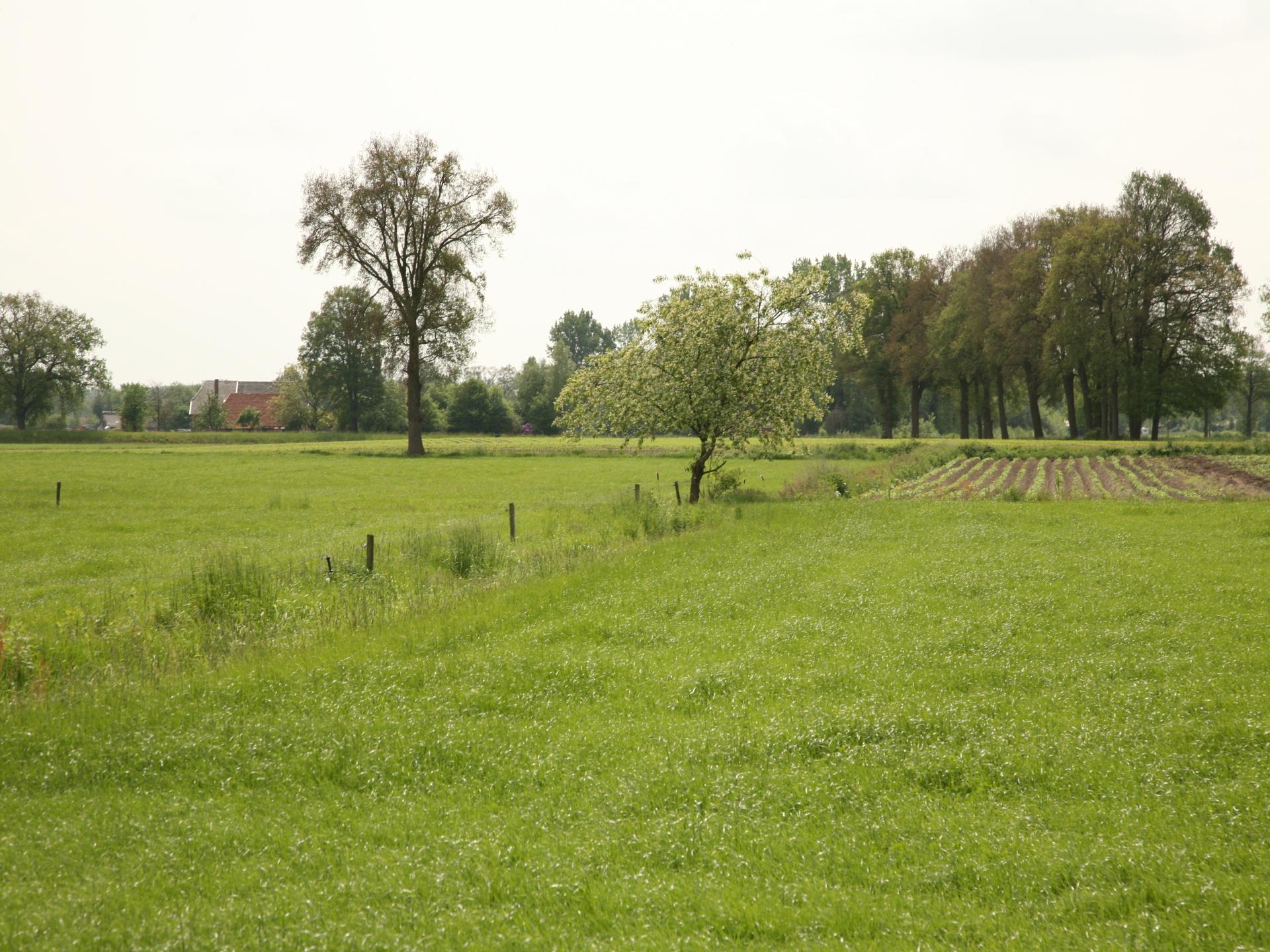 Ruime woonboerderij in Achterhoek met speelzolder en volleybalveld - foto 39