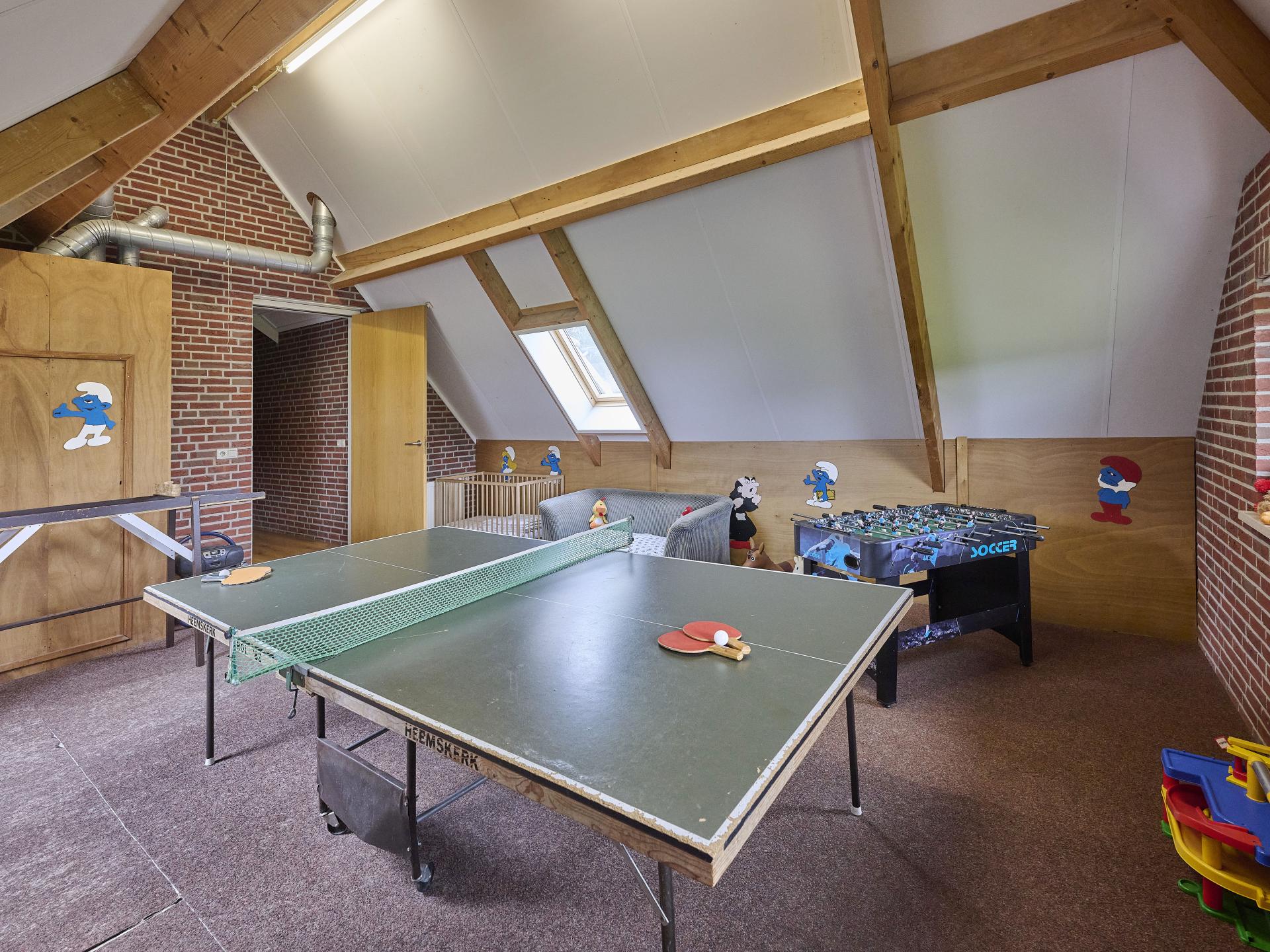 Ruime woonboerderij in Achterhoek met speelzolder en volleybalveld - foto 18