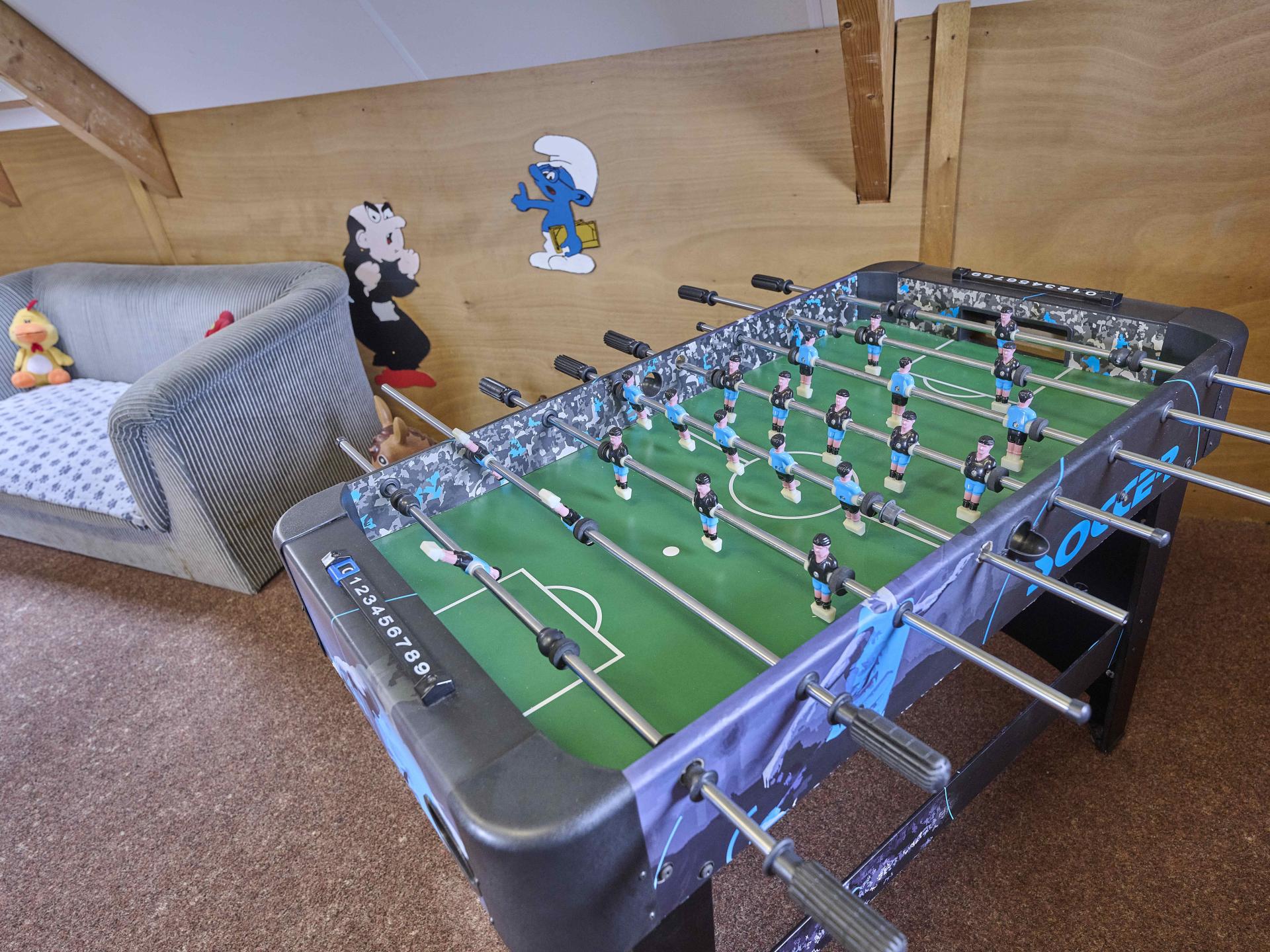 Ruime woonboerderij in Achterhoek met speelzolder en volleybalveld - foto 17