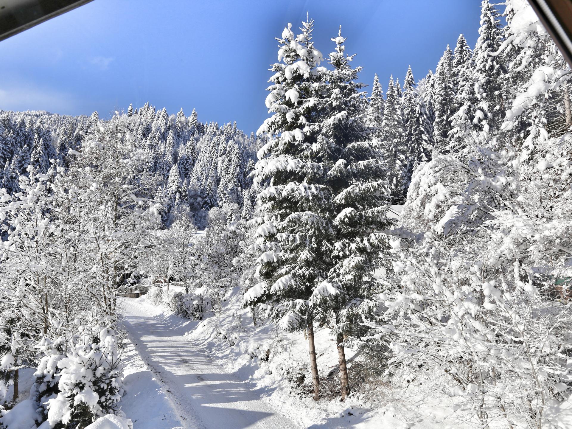 Aan de piste: Luxe vrijstaand chalet in Hopfgarten im Brixental - foto 30