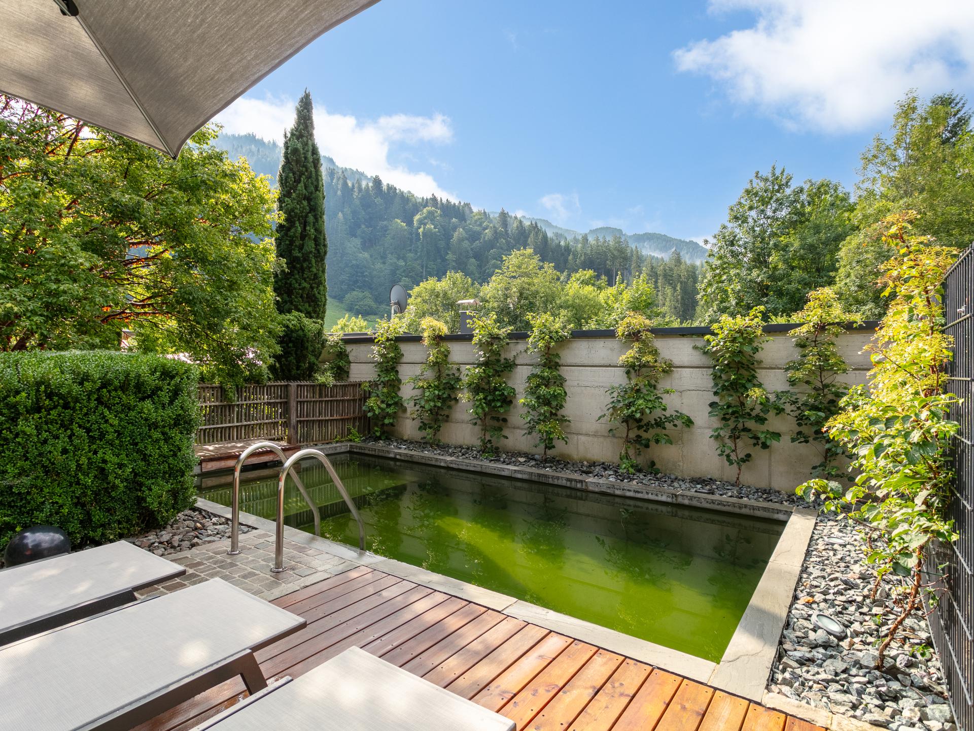 Aan de piste: Luxe vrijstaand chalet in Hopfgarten im Brixental - foto 47