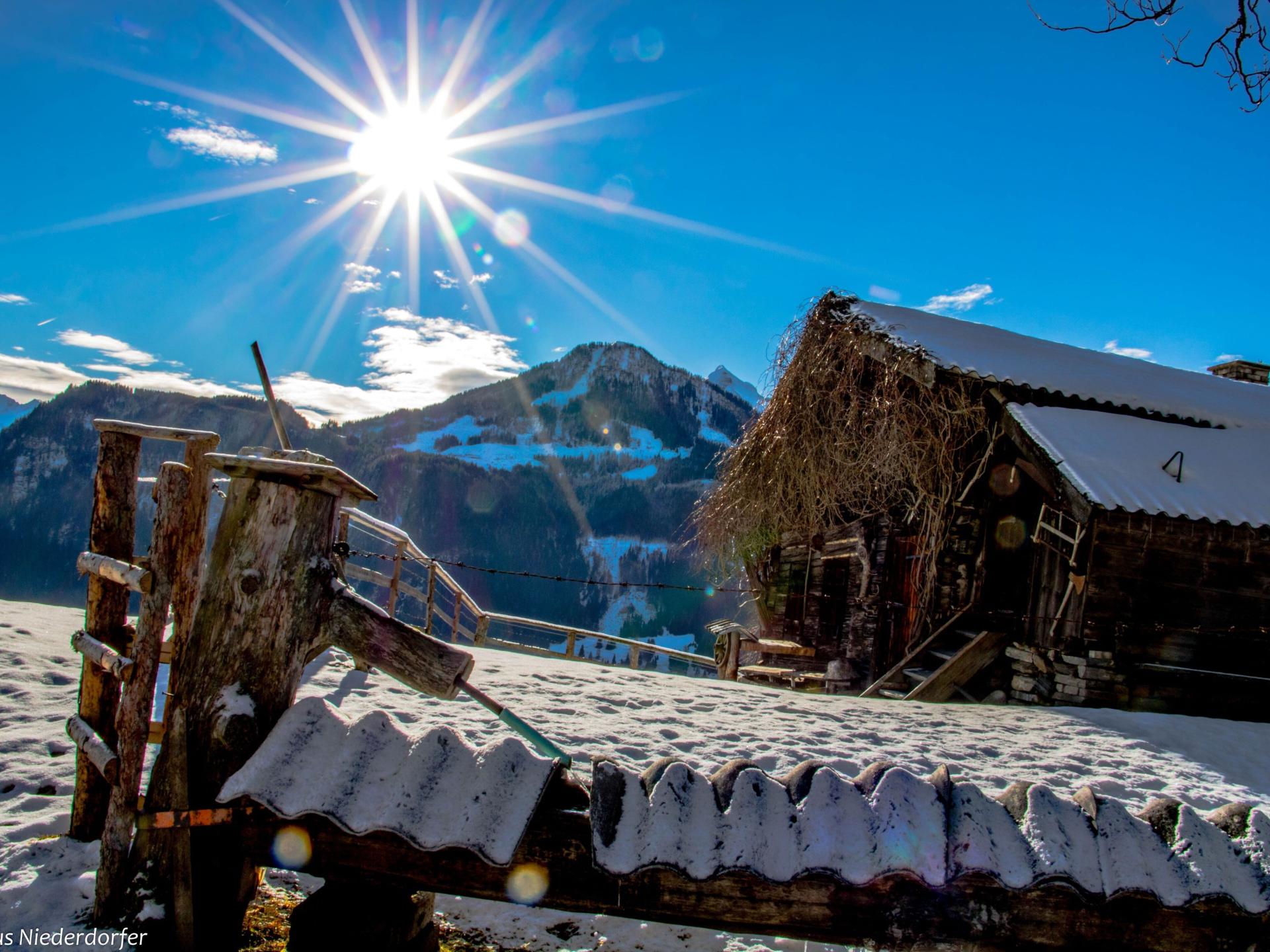 Twee luxe chalets met sauna en haard in Goldegg, Salzburgerland - foto 42