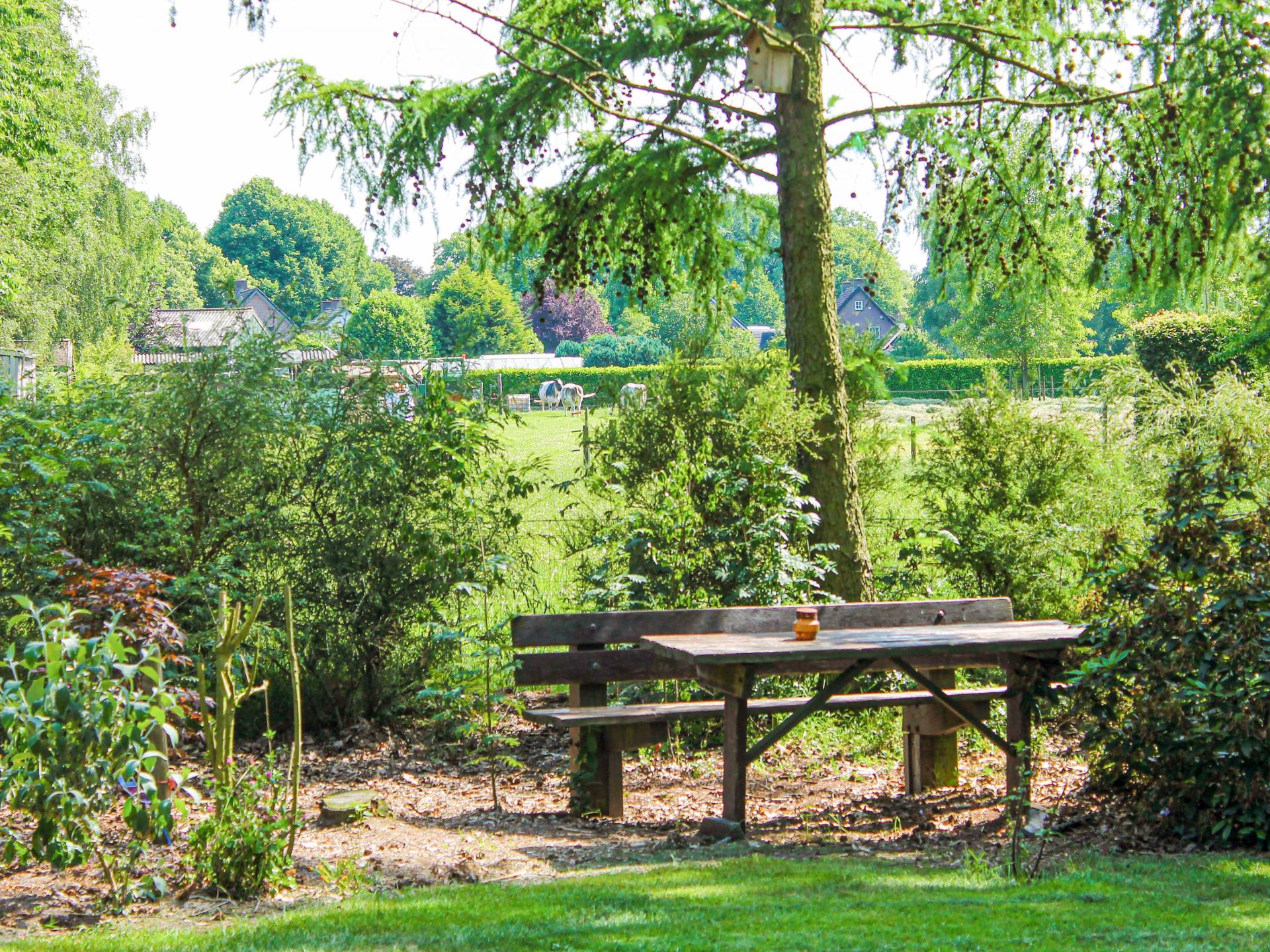 Vrijstaand huisje met omheinde tuin in landelijke omgeving bij Schijf - foto 21