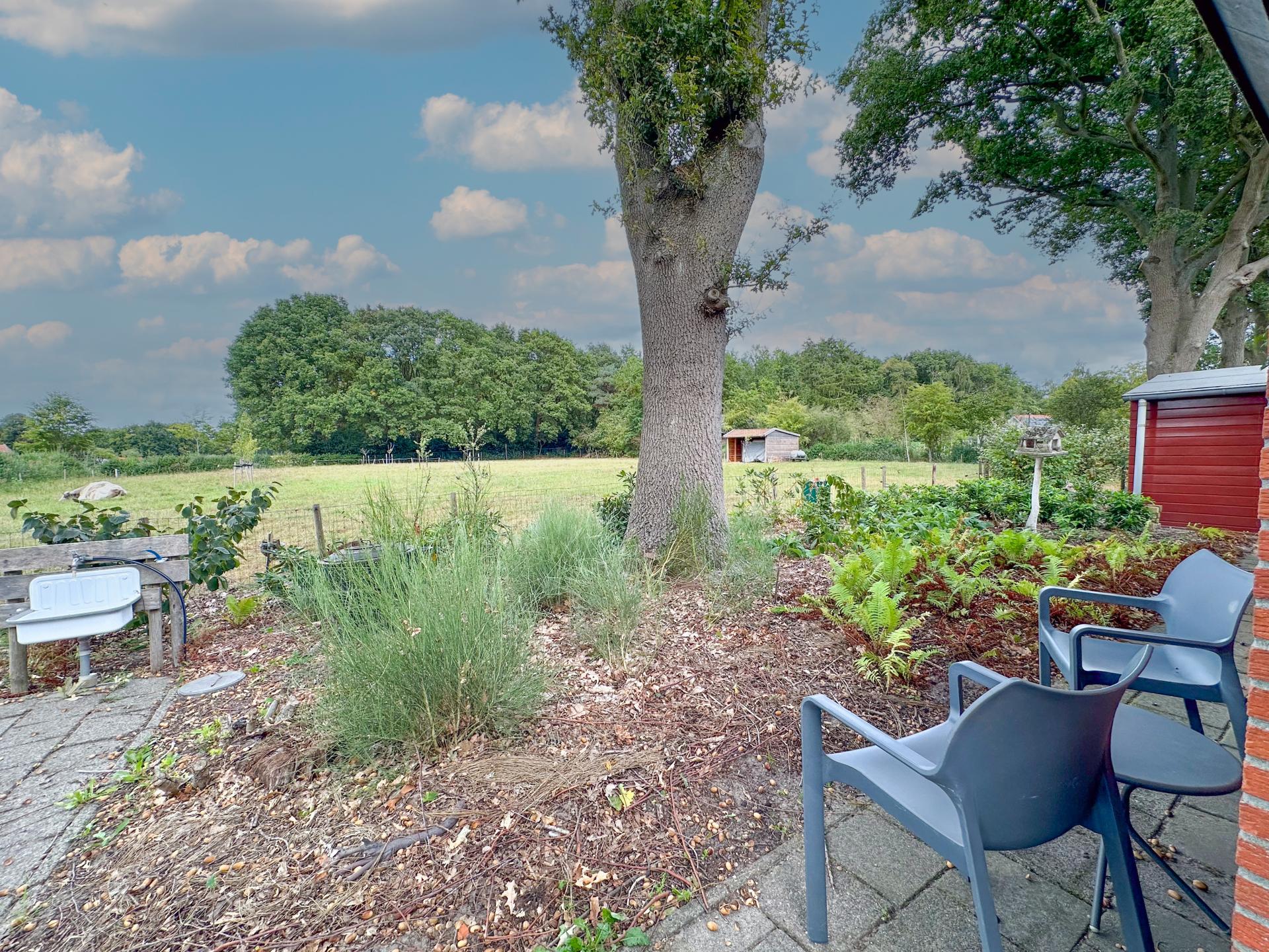 Vrijstaand huisje met omheinde tuin in landelijke omgeving bij Schijf - foto 18