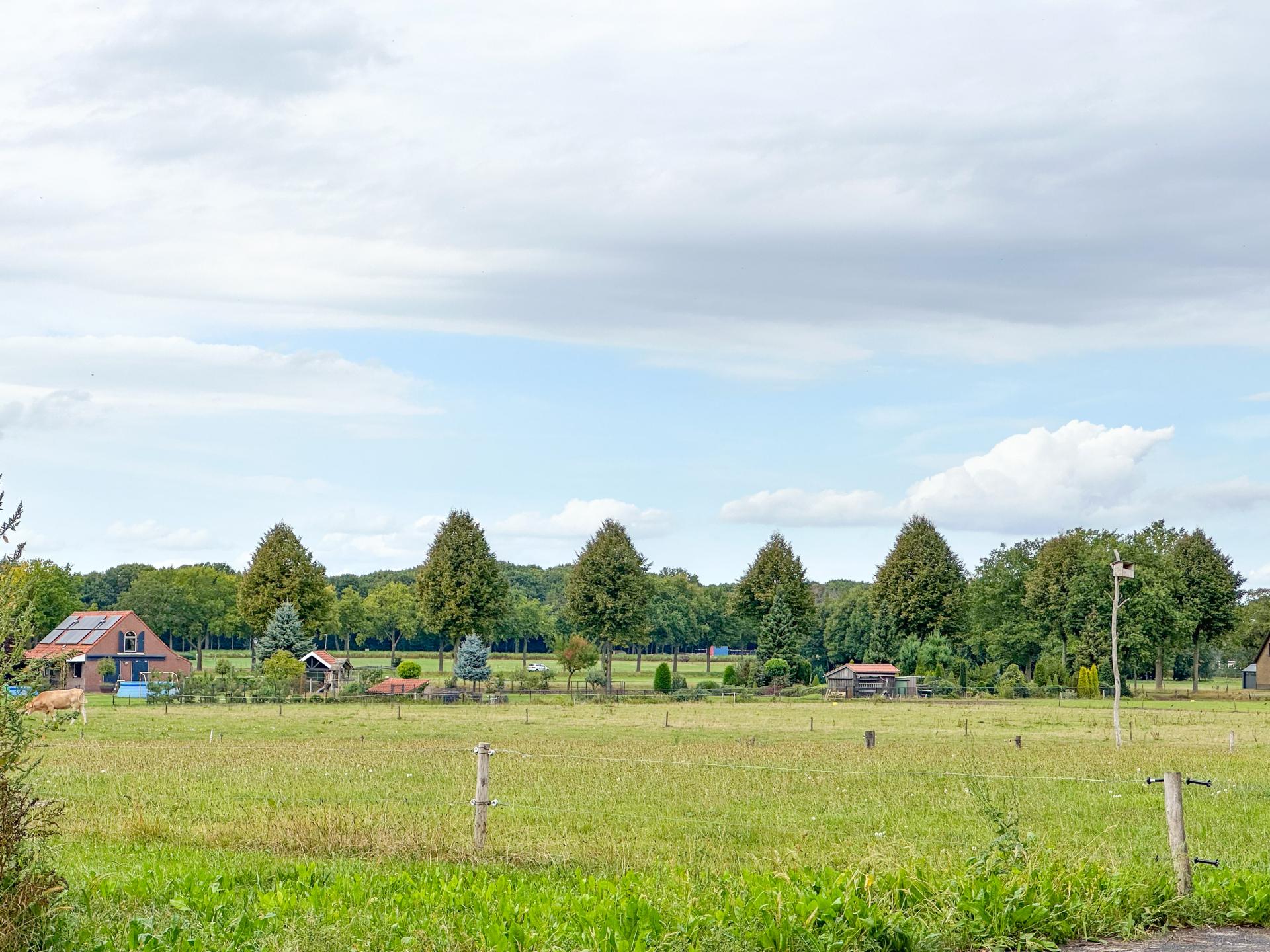 Vrijstaand huisje met omheinde tuin in landelijke omgeving bij Schijf - foto 25