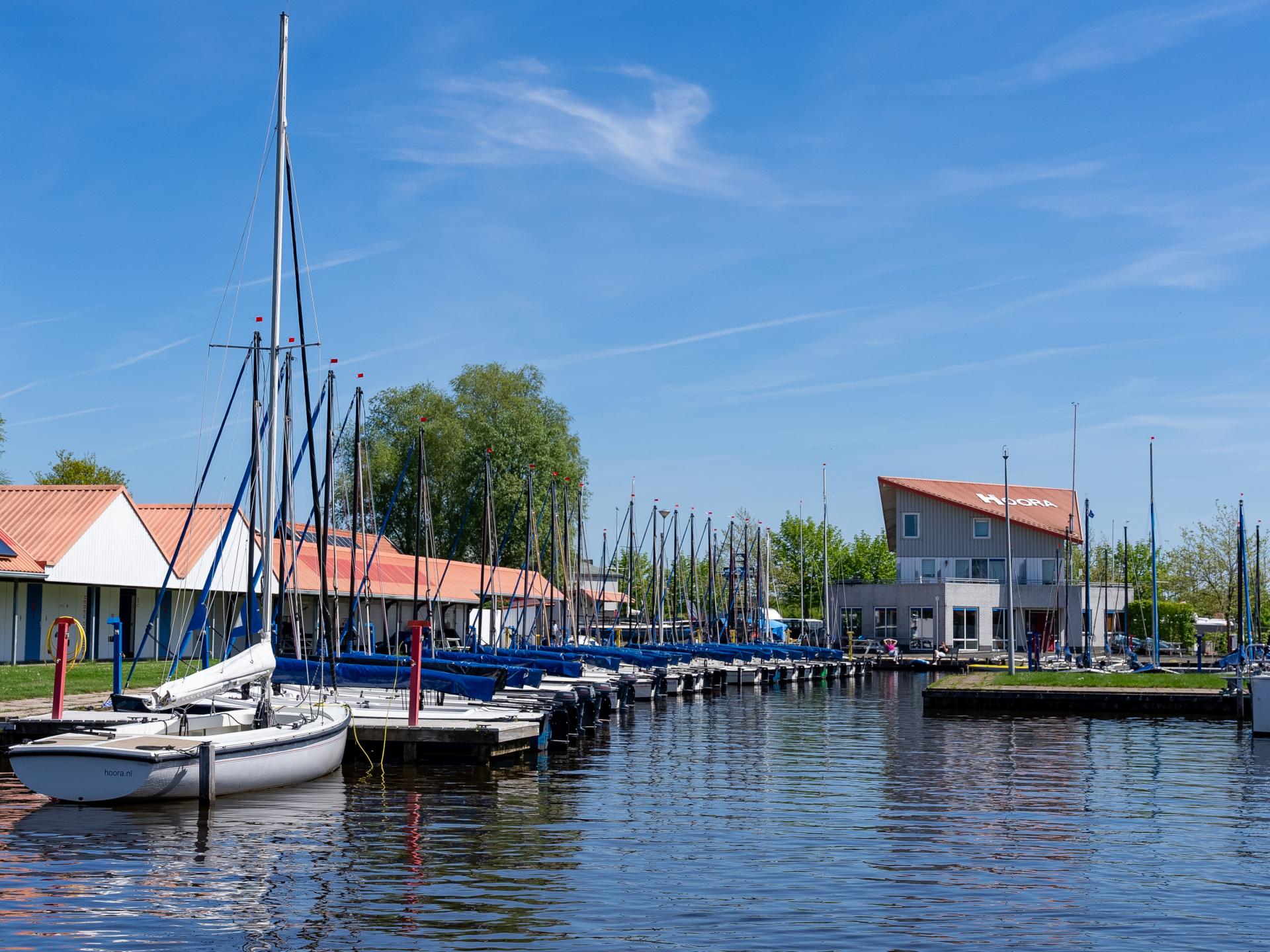 Safaritent aan de jachthaven van Heeg: slapen tussen water en bos - foto 25