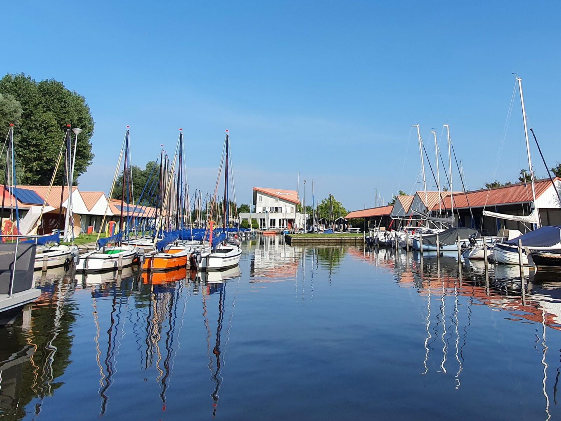 Safaritent aan de jachthaven van Heeg: slapen tussen water en bos - foto 26