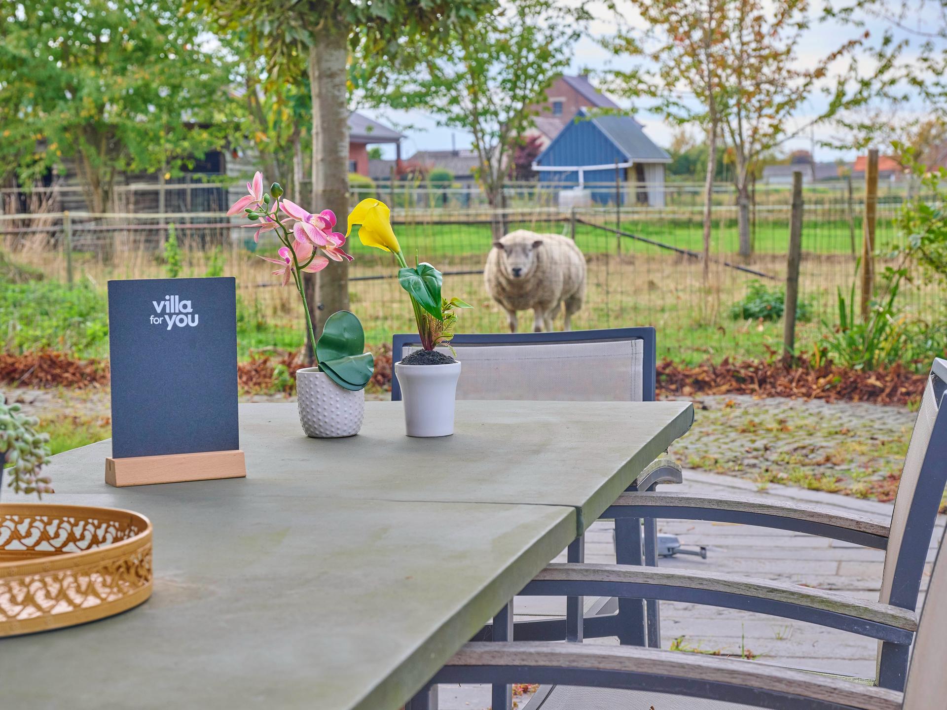 Twee verbonden vakantiewoningen voor 8 personen met terras in Geetbets - foto 68