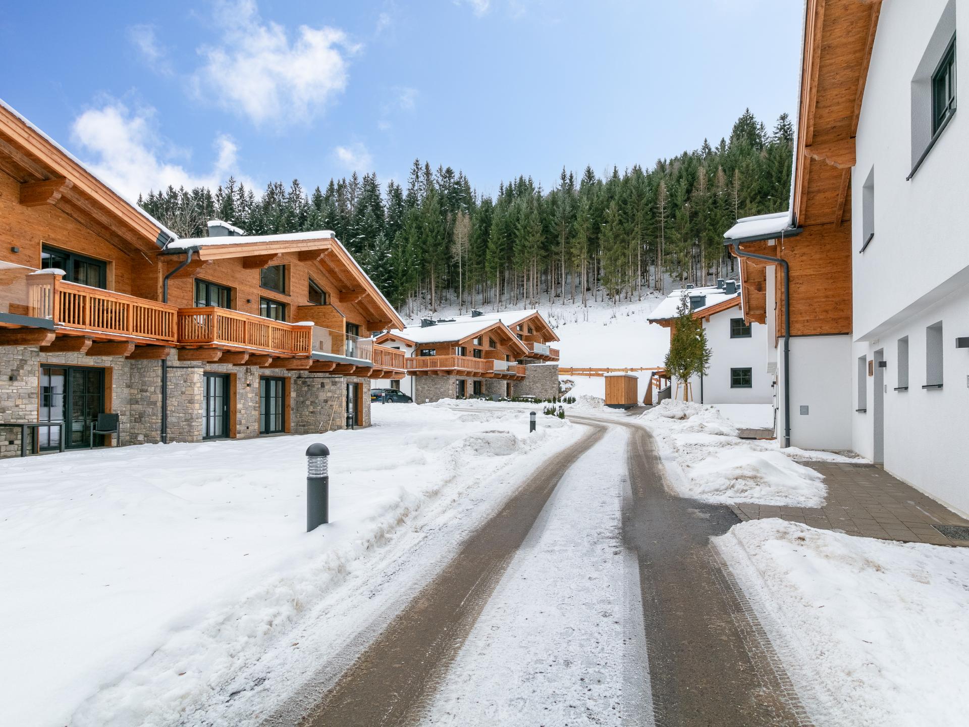 Luxe chalet met privésauna op 10 minuten van de pistes van Flachau - foto 45