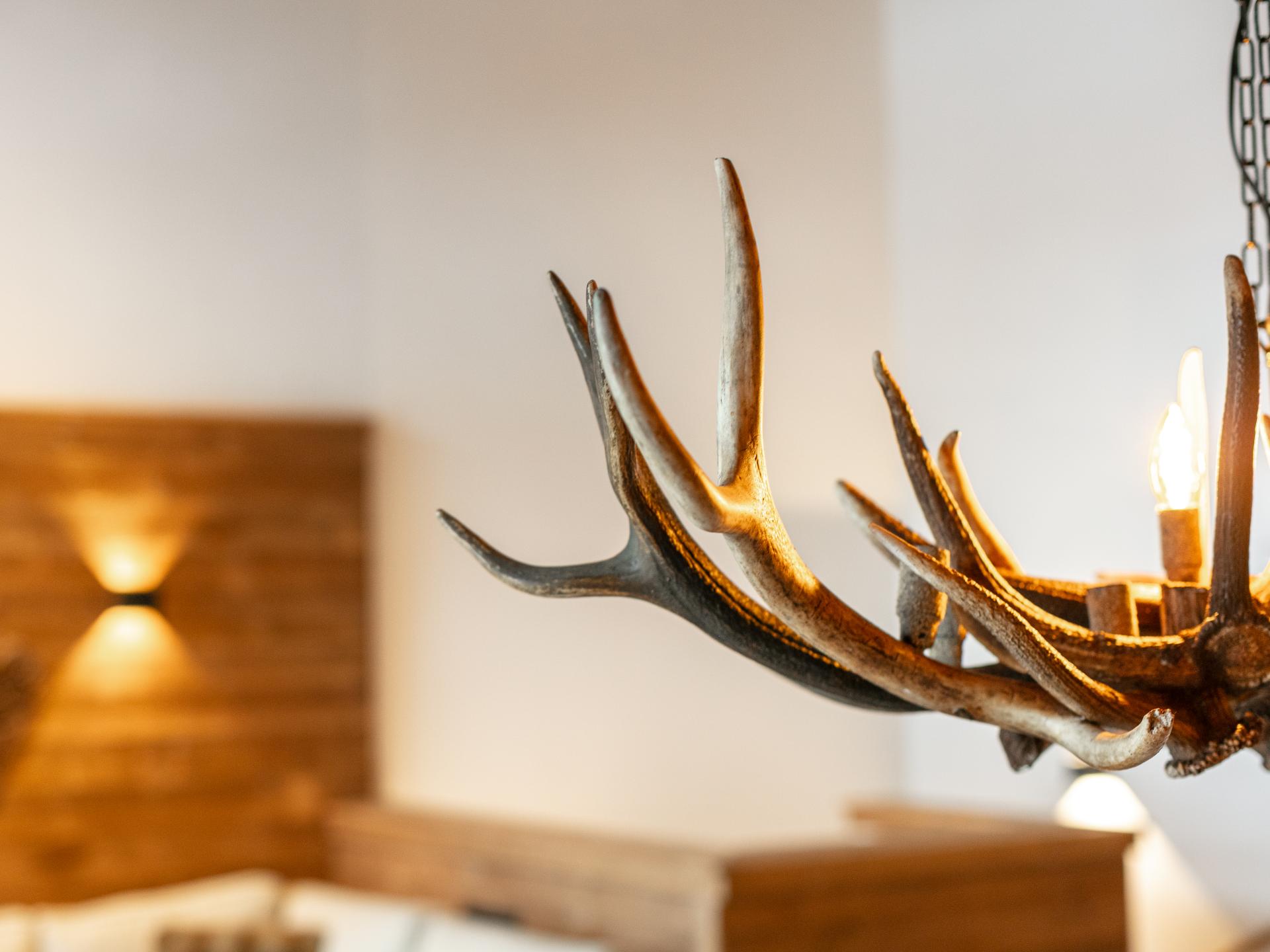 Luxe chalet met privésauna op 10 minuten van de pistes van Flachau - foto 15