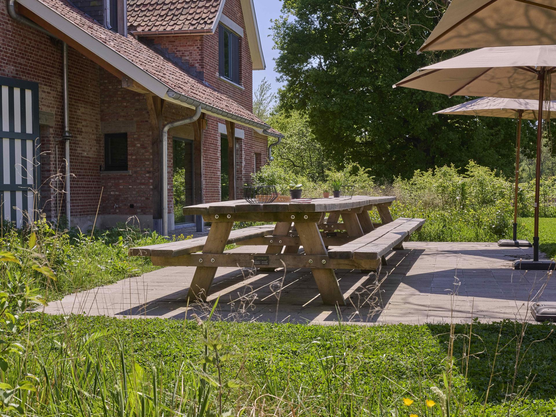 Villa Lactea: Duurzame groepswoning voor 24 personen in de bossen van Schilde - foto 7