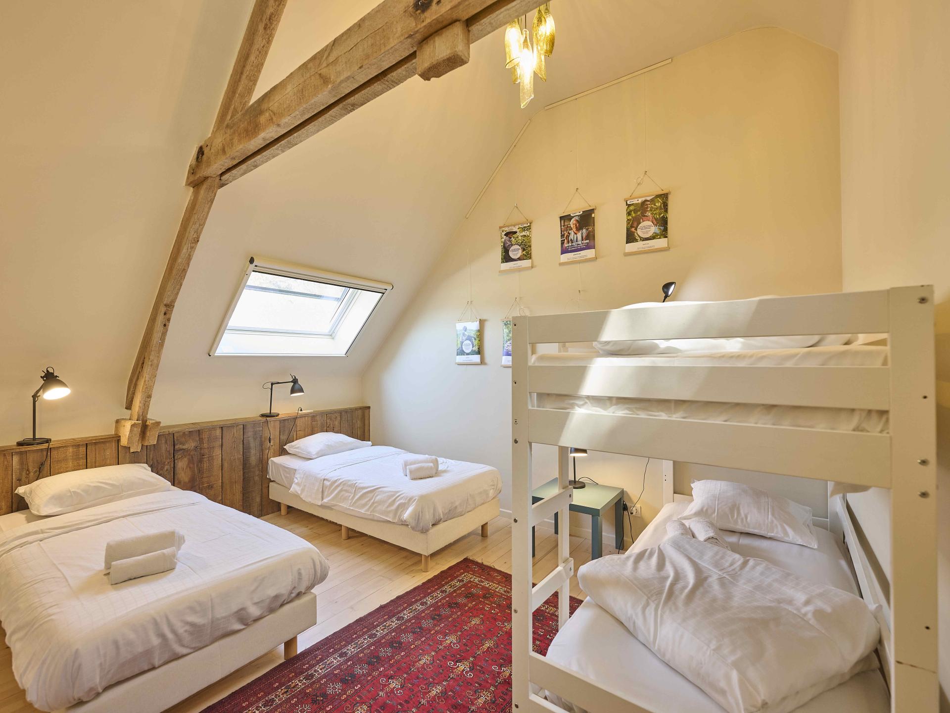 Villa Lactea: Duurzame groepswoning voor 24 personen in de bossen van Schilde - foto 35