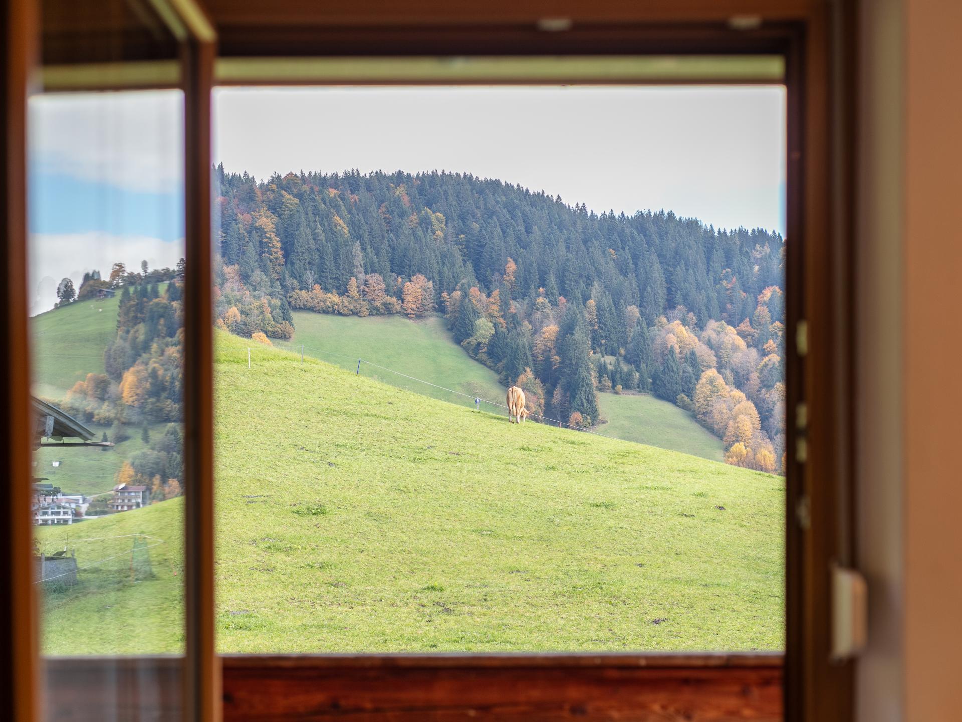 Rustiek bergappartement voor 4 personen met panoramisch uitzicht in Wildschönau - foto 16