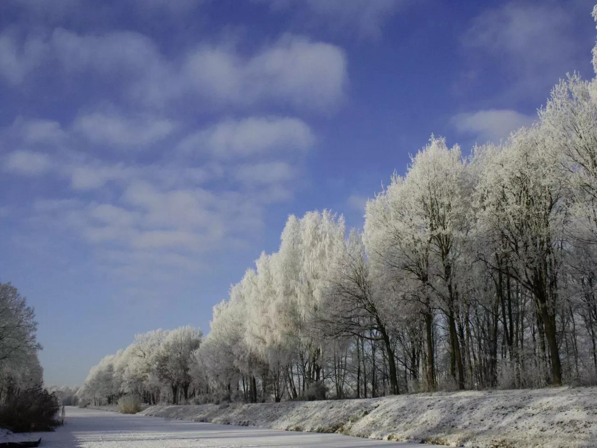 Vrijstaand vakantiehuis met bubbelbad en buitenhaard in Twente - foto 36