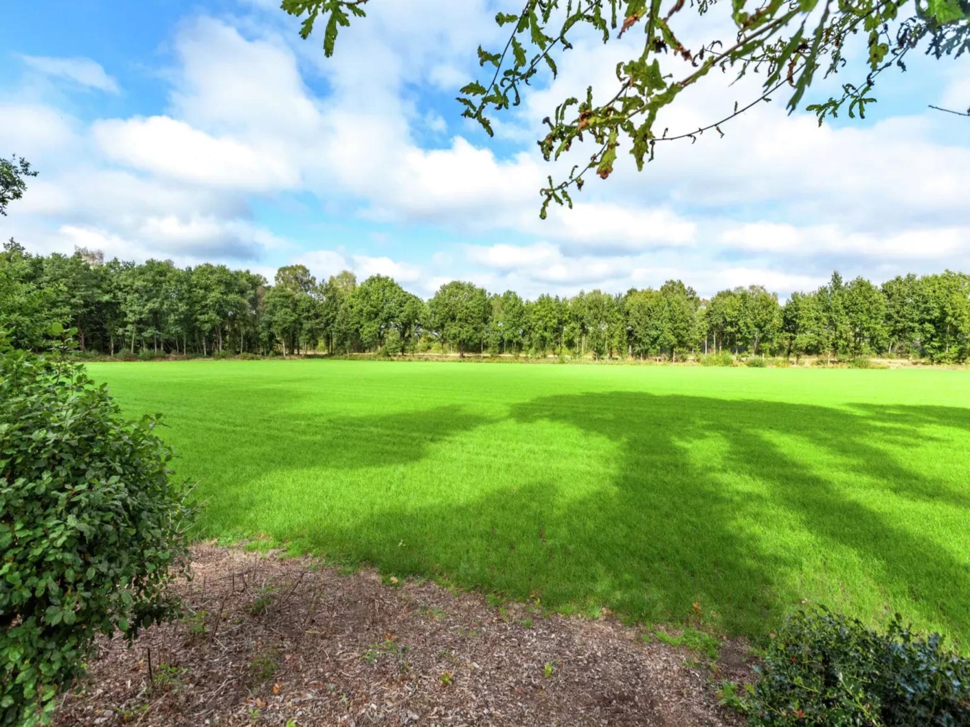 Vrijstaand vakantiehuis met bubbelbad en buitenhaard in Twente - foto 35