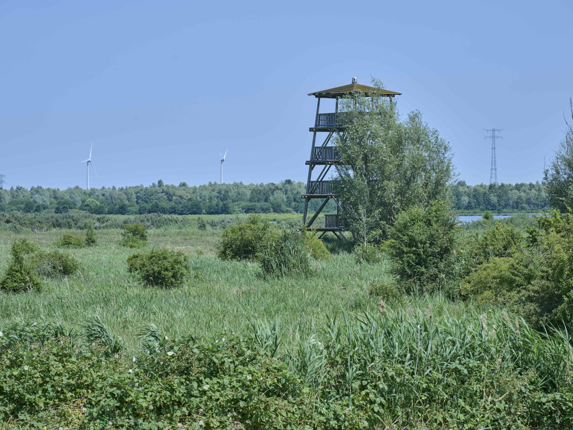 Sfeervol vrijstaand huis met veranda, 2 badkamers en uitzicht over de polder - foto 38