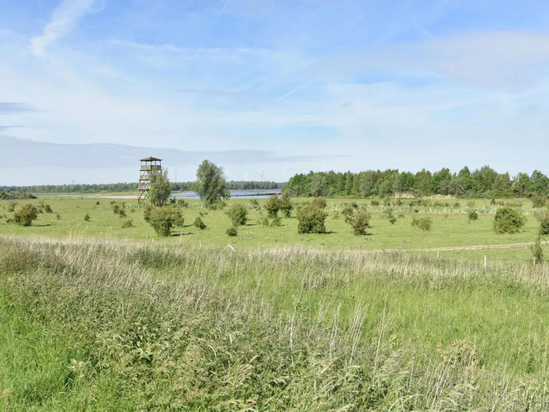 Sfeervol vrijstaand huis met veranda, 2 badkamers en uitzicht over de polder - foto 42