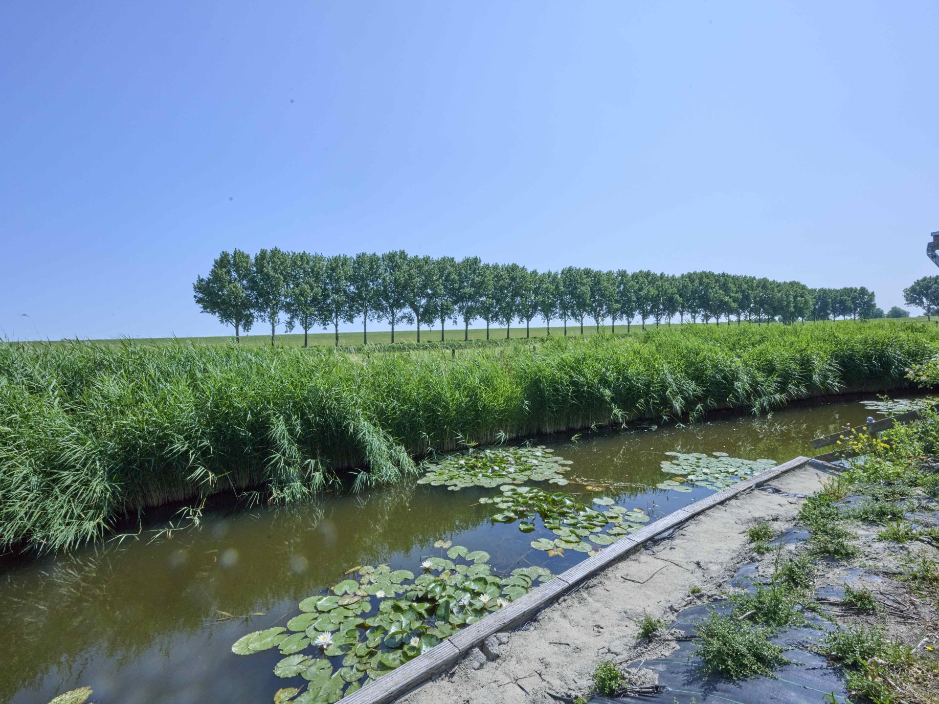 Sfeervol vrijstaand huis met veranda, 2 badkamers en uitzicht over de polder - foto 46