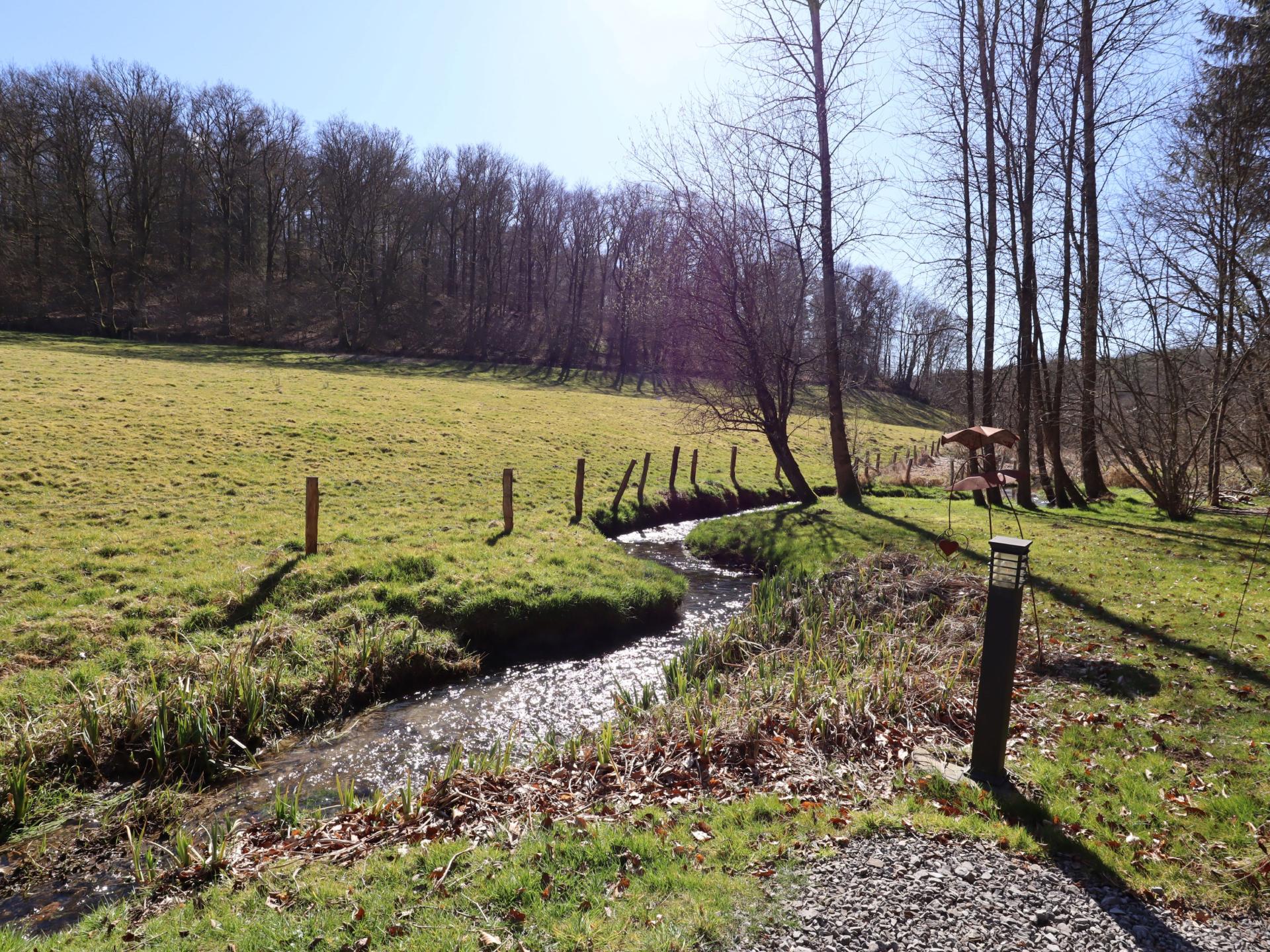 Intiem chalet aan de rivier met bubbelbad en stoomdouche in de Ardennen - foto 66