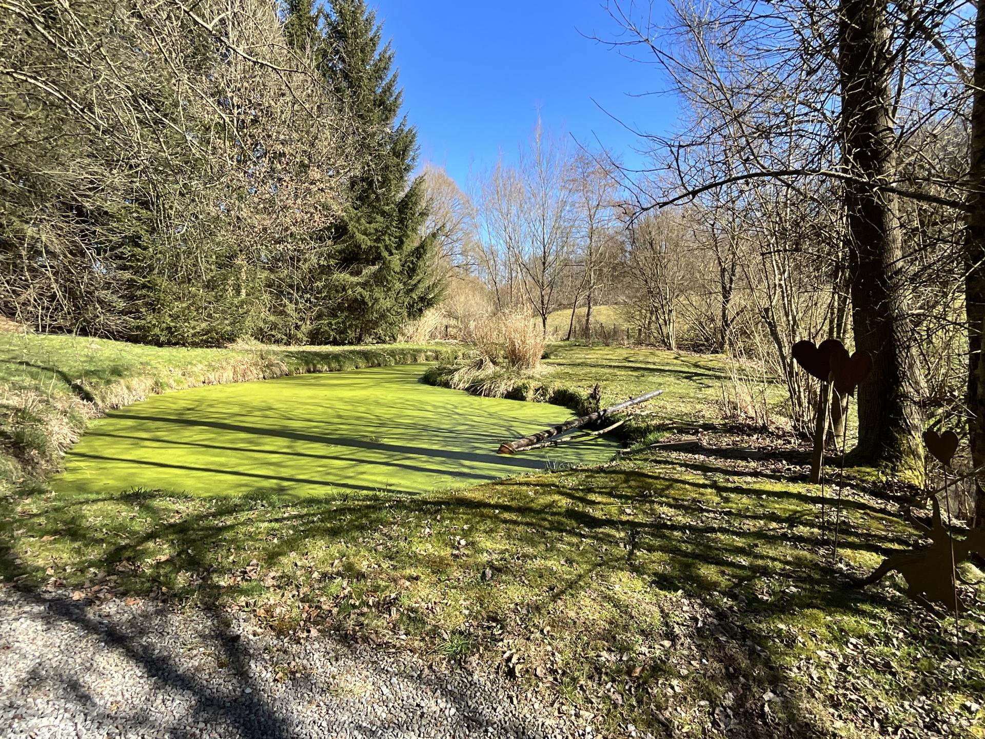 Intiem chalet aan de rivier met bubbelbad en stoomdouche in de Ardennen - foto 43