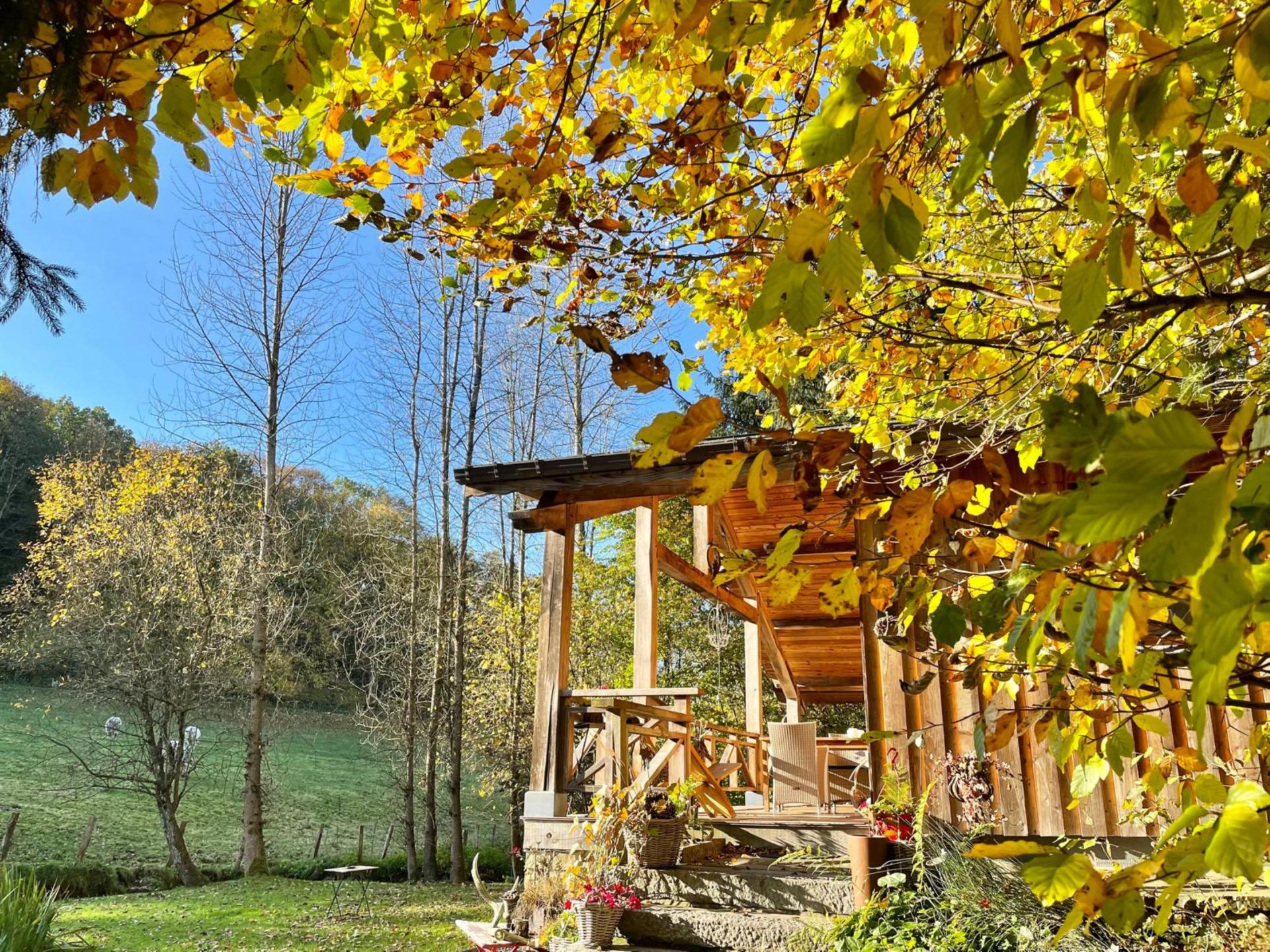 Intiem chalet aan de rivier met bubbelbad en stoomdouche in de Ardennen - foto 31