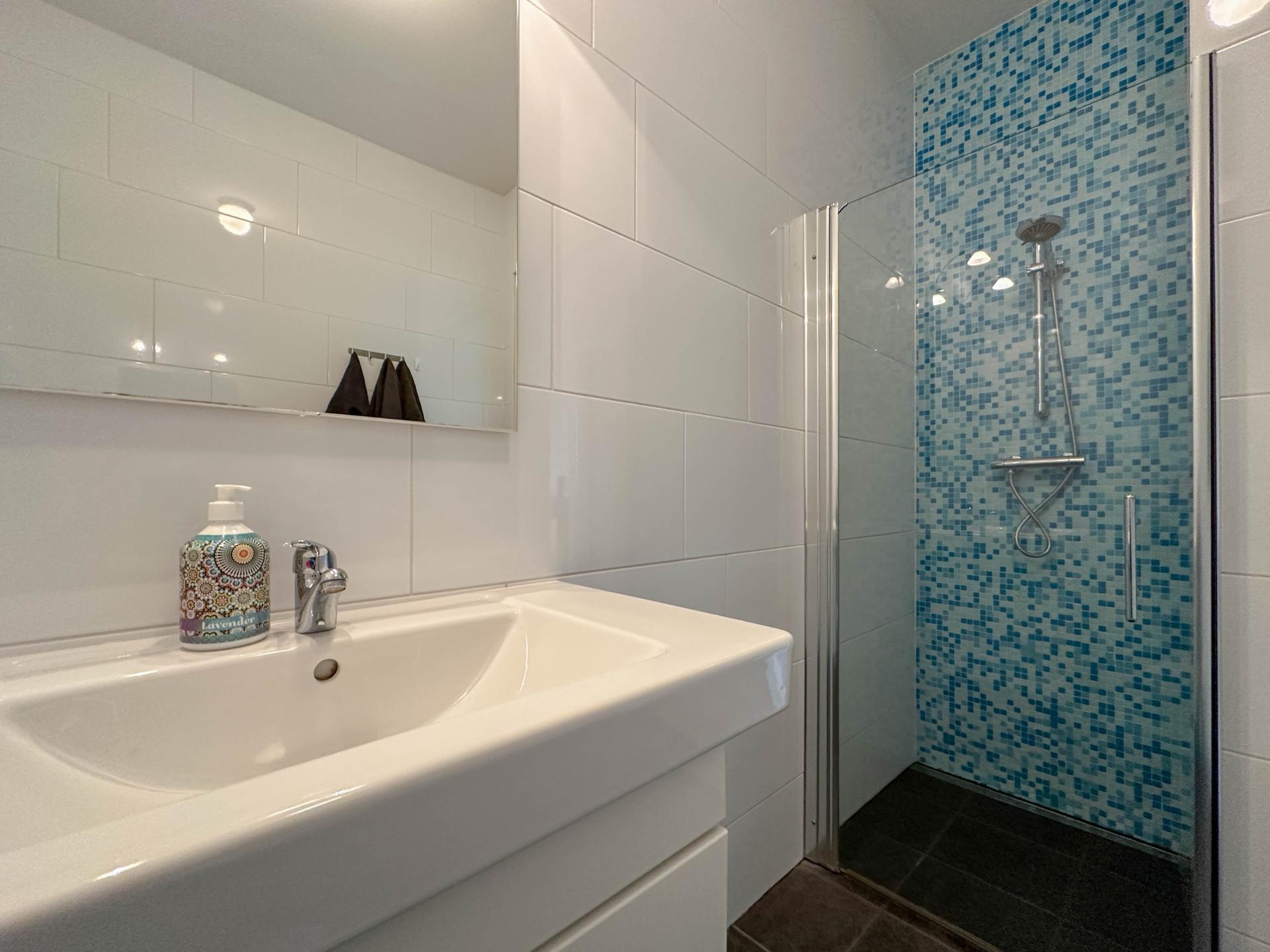 Rustig vakantieappartement met tuin aan de rand van de Biesbosch - foto 14