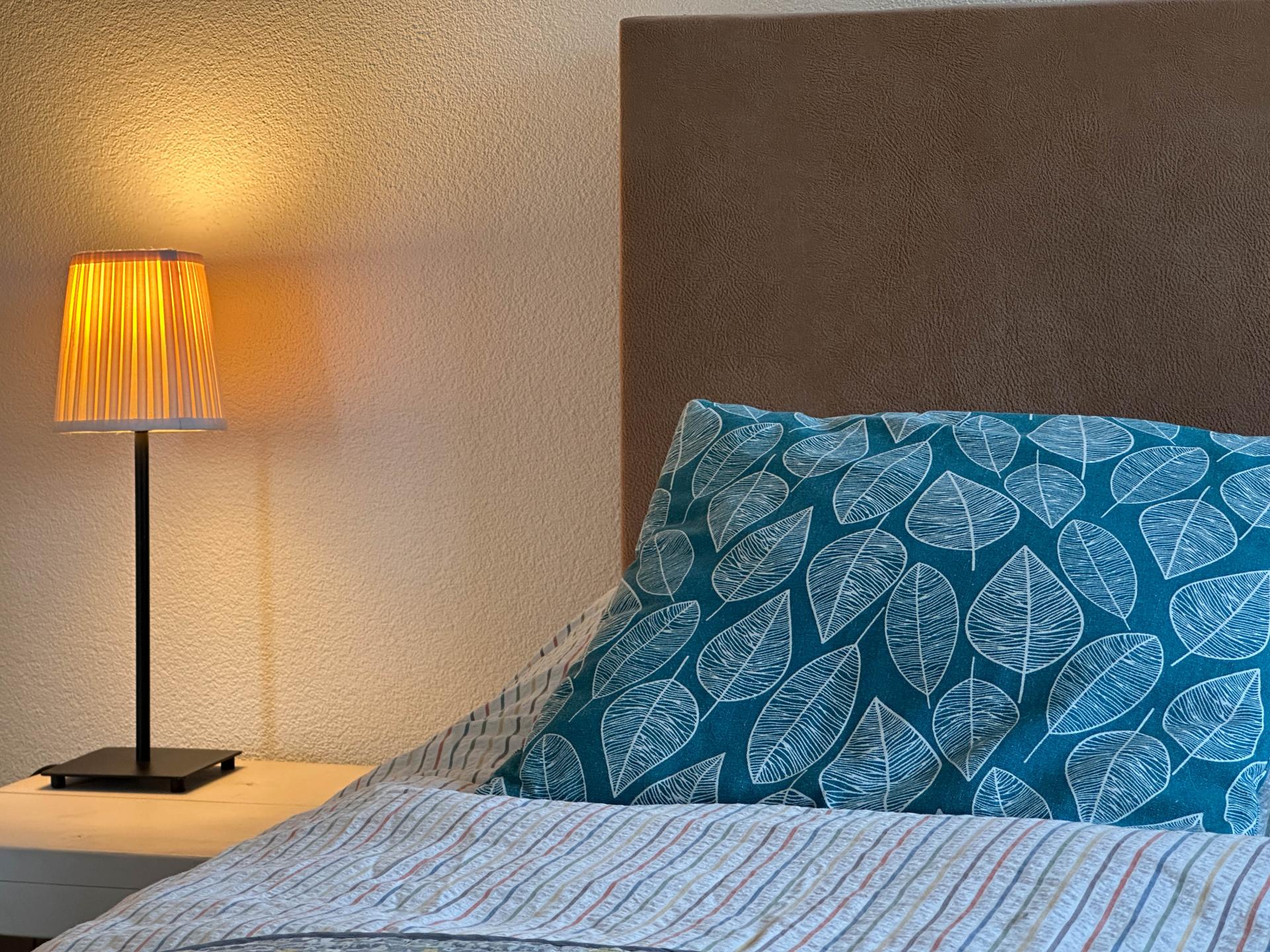 Rustig vakantieappartement met tuin aan de rand van de Biesbosch - foto 12