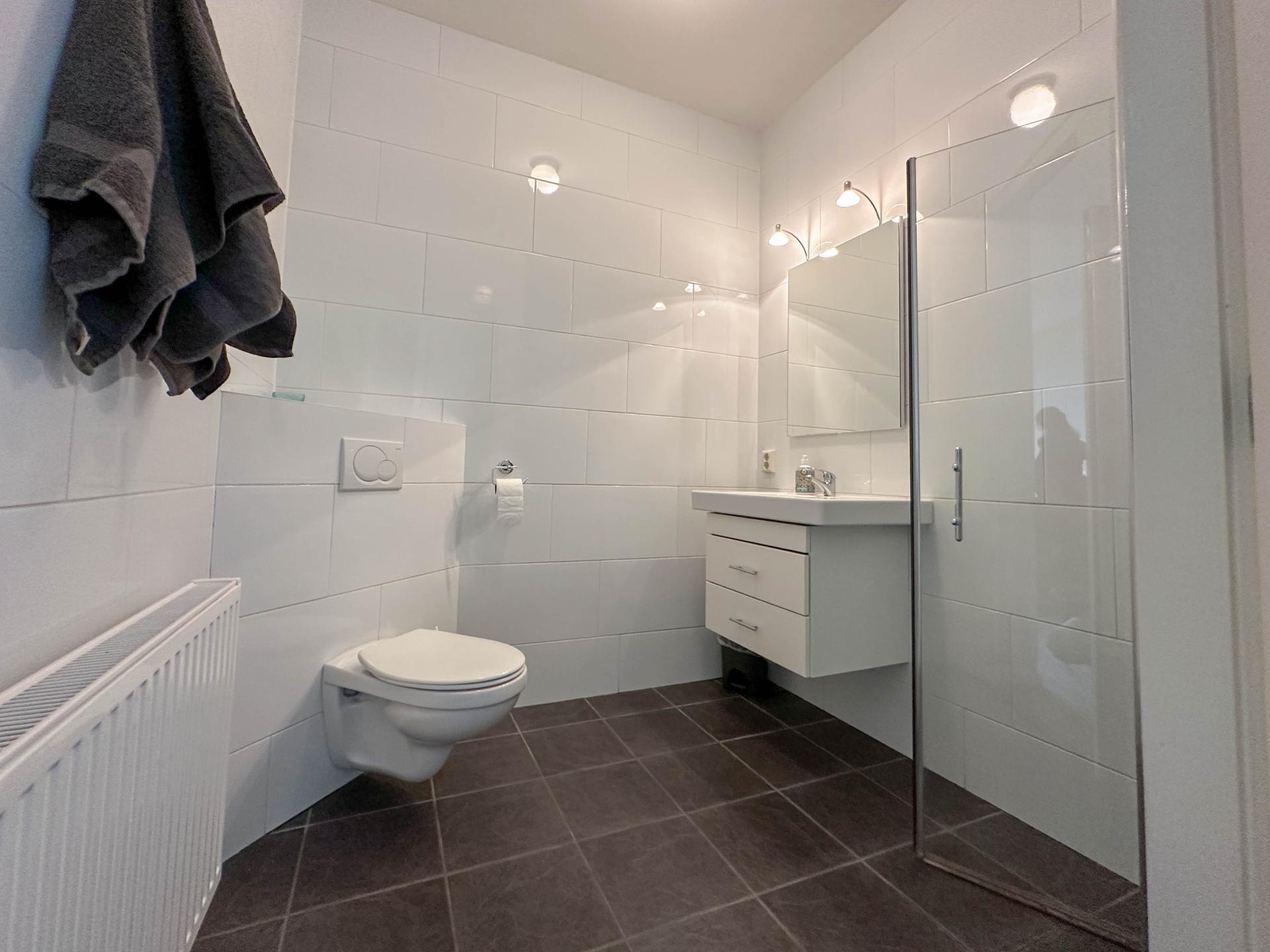 Rustig vakantieappartement met tuin aan de rand van de Biesbosch - foto 13