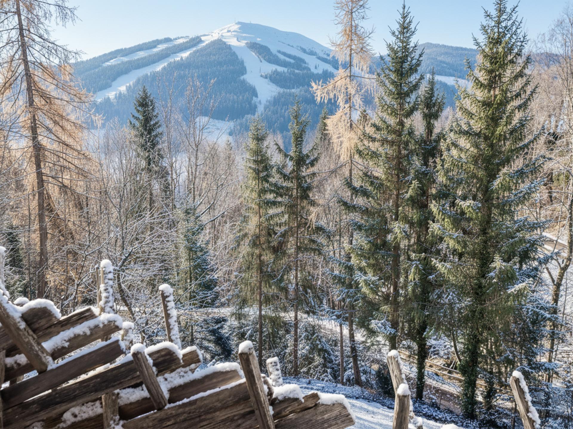 Panorama-appartement direct aan de piste in Alpbach - foto 36