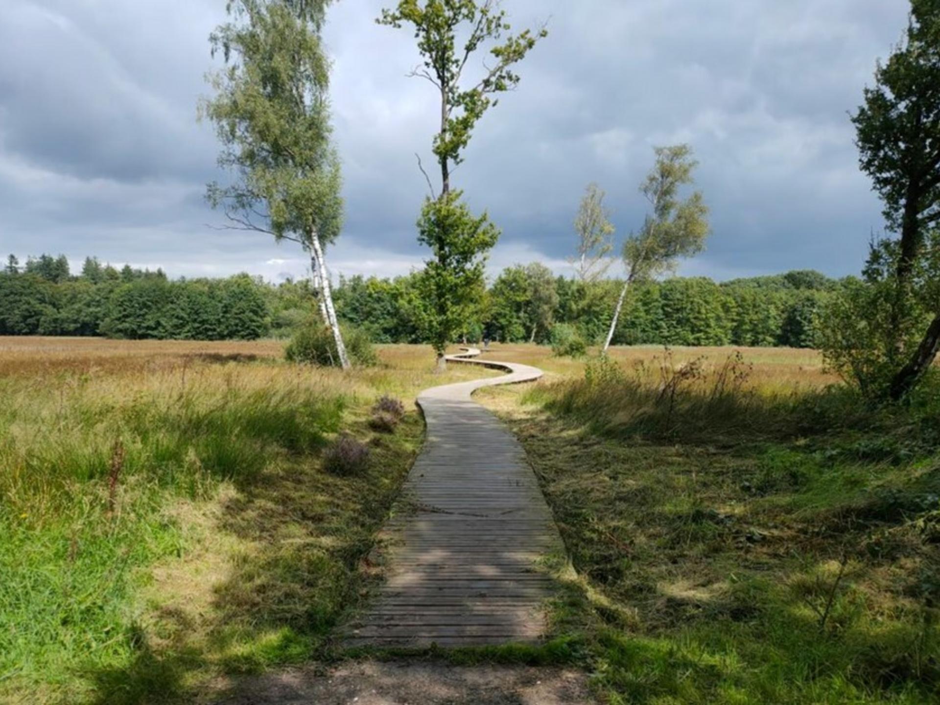 Knus natuurhuisje met terras en weids uitzicht op de Veluwe - foto 30