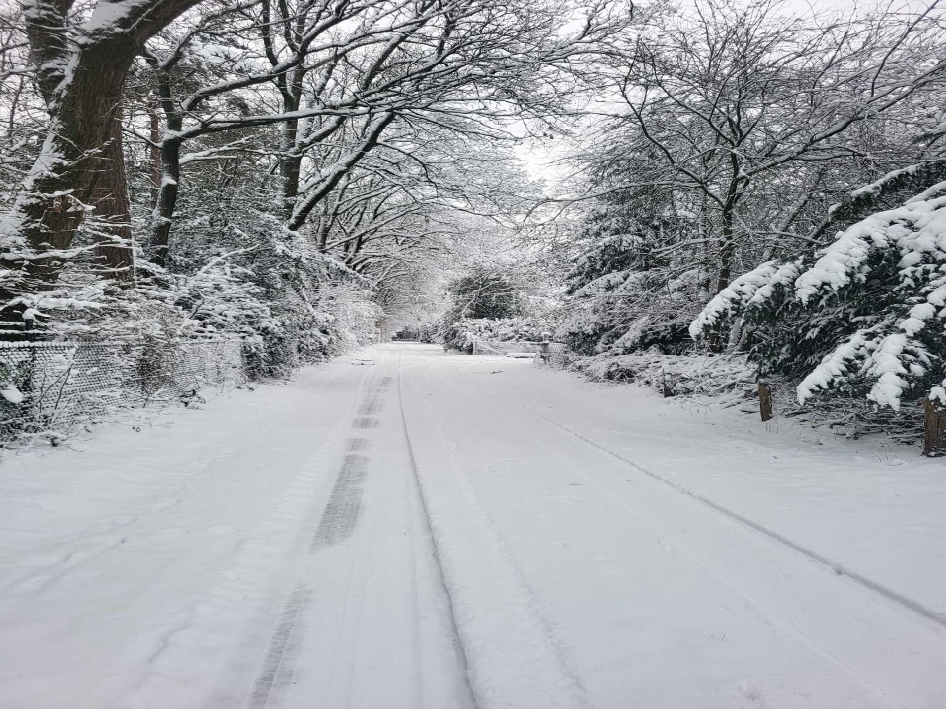 Knus natuurhuisje met terras en weids uitzicht op de Veluwe - foto 21