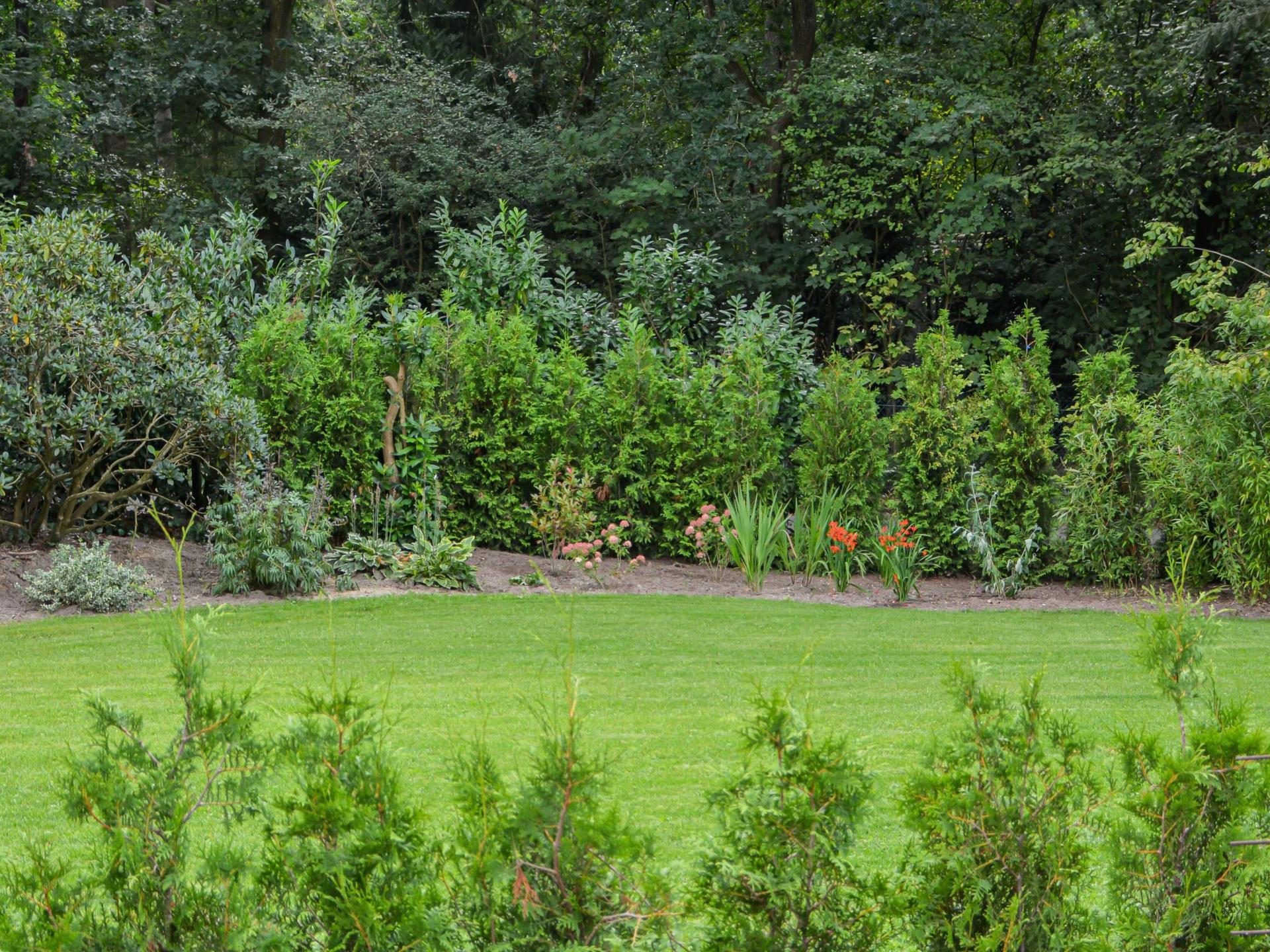 Knus natuurhuisje met terras en weids uitzicht op de Veluwe - foto 23