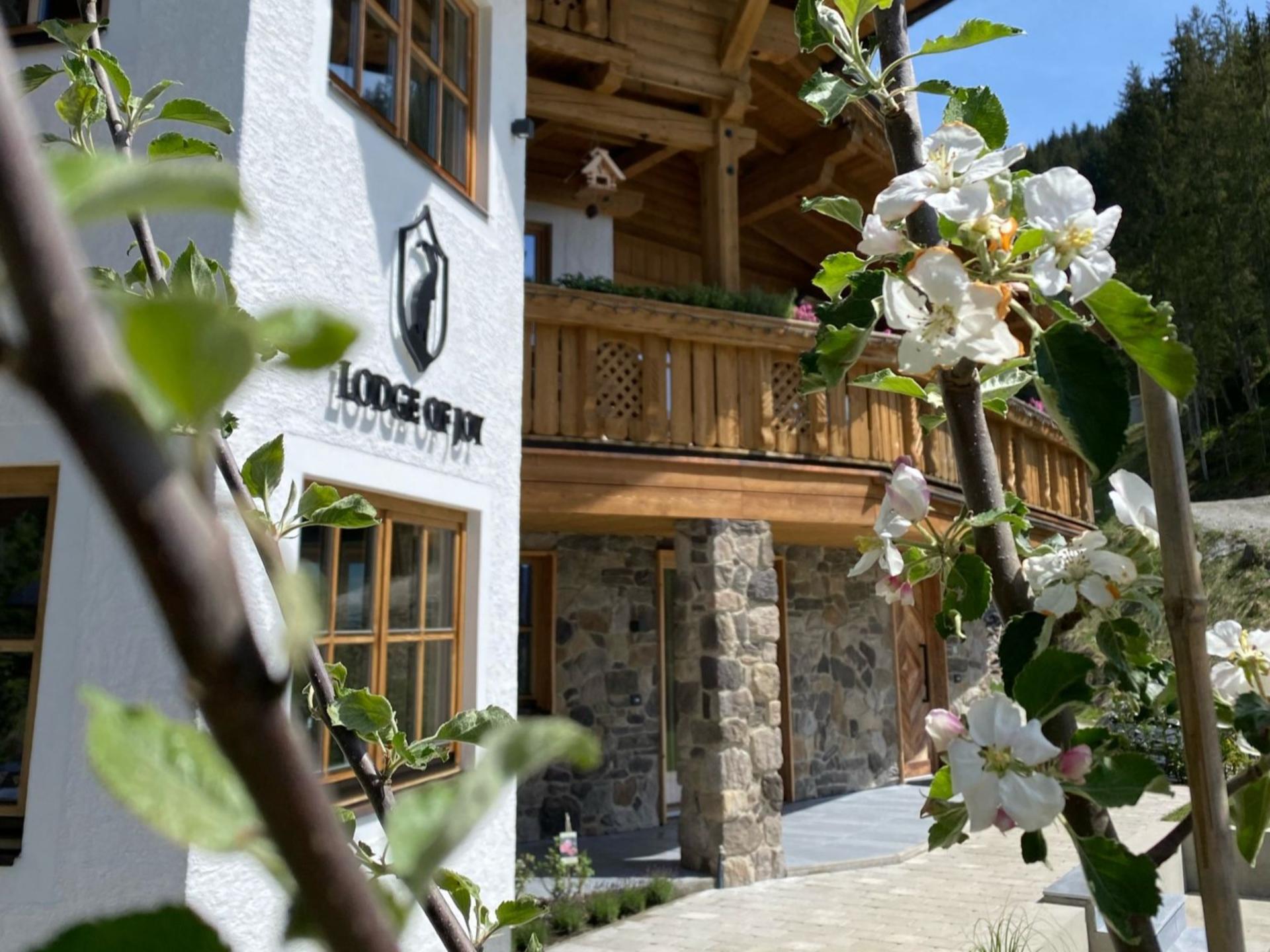 14-persoons vrijstaand chalet aan de piste in Wagrain - foto 6