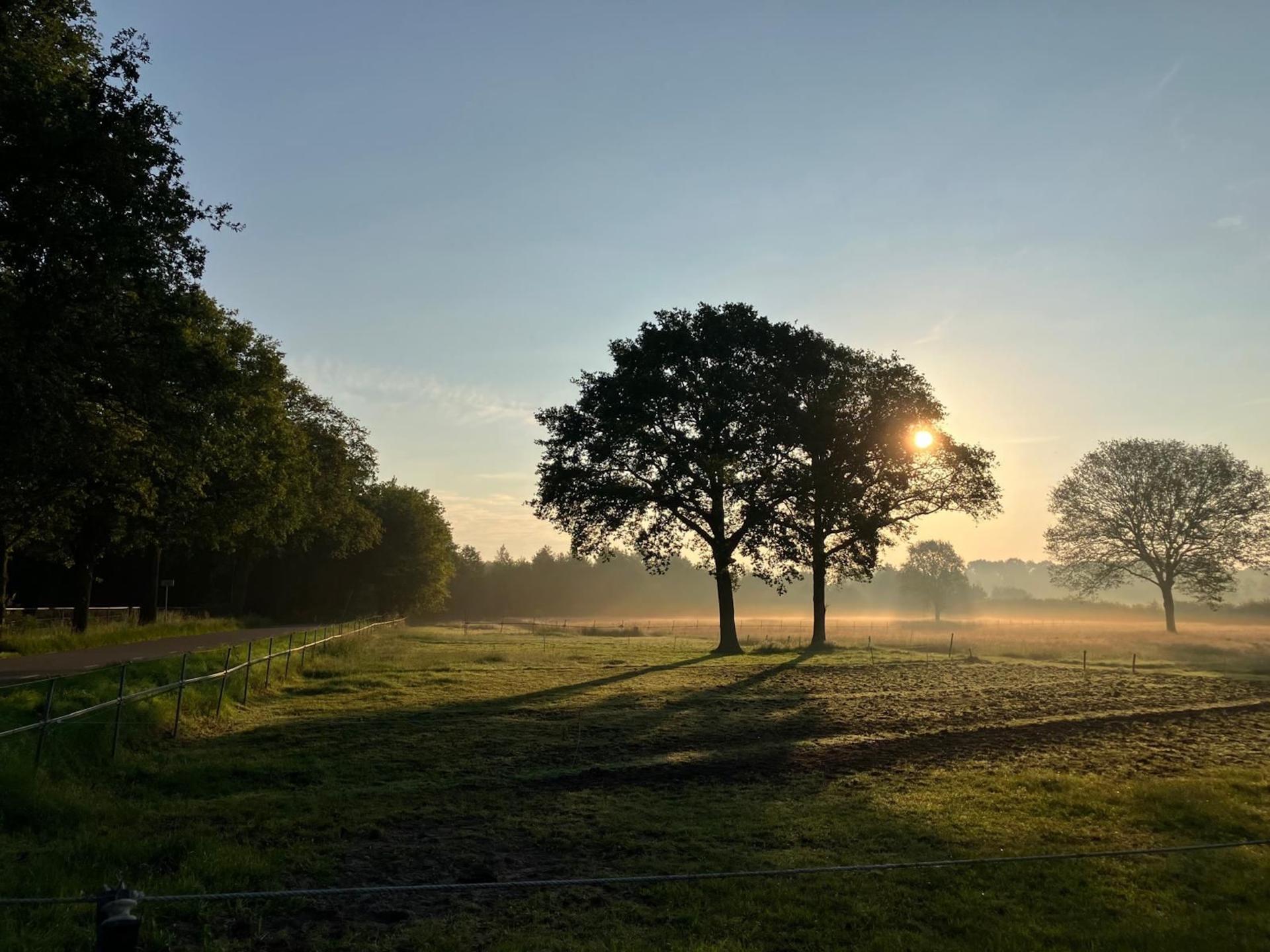 Sfeervol vakantiehuis in gerenoveerde stal met uitzicht op reeën in Reusel, Brabant - foto 47