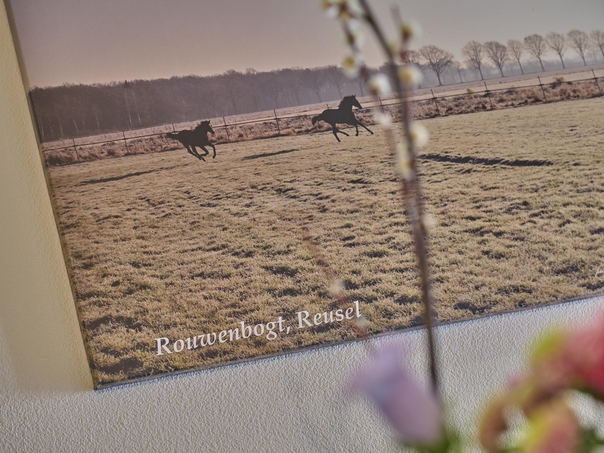 Sfeervol vakantiehuis in gerenoveerde stal met uitzicht op reeën in Reusel, Brabant - foto 46