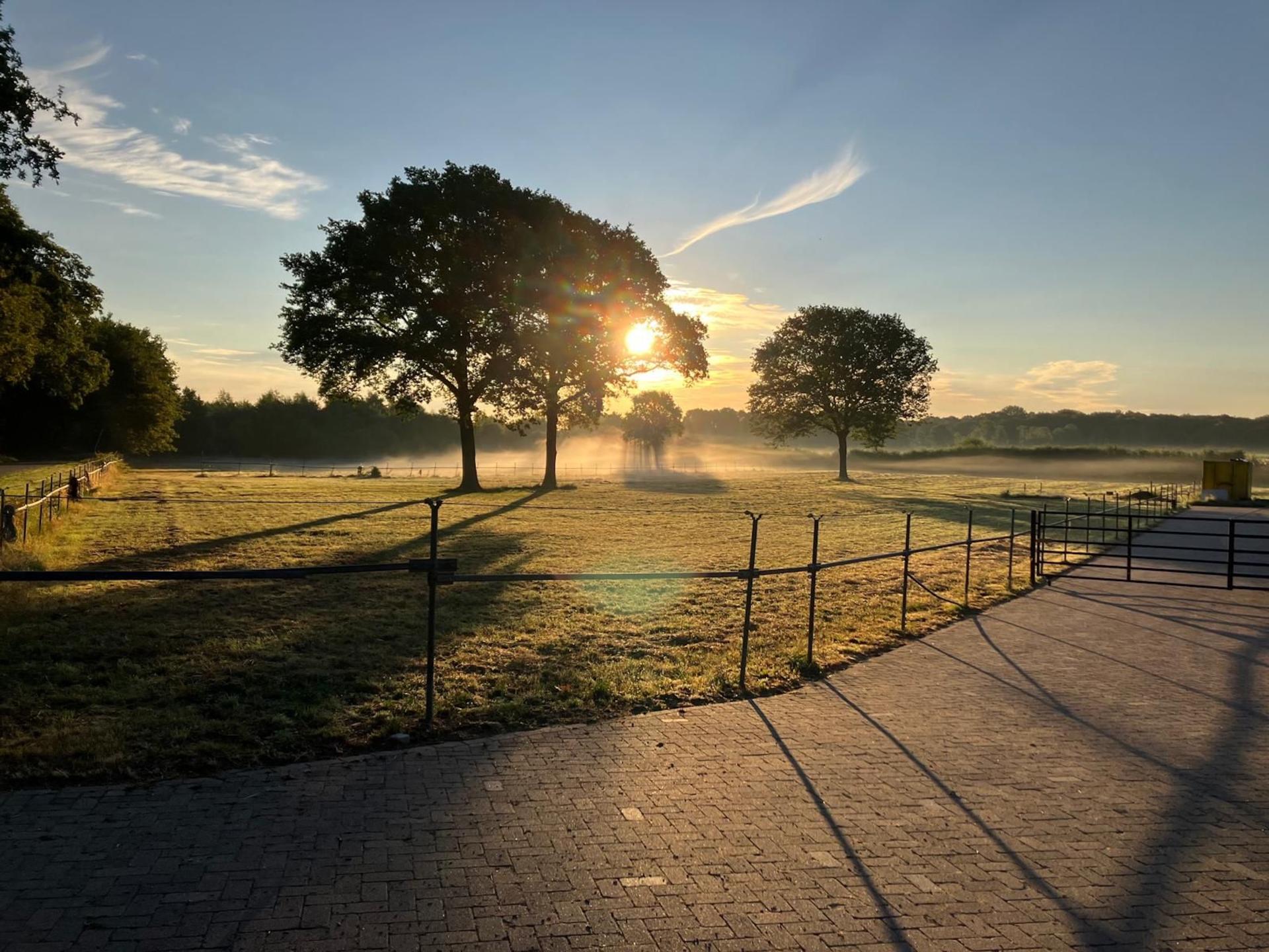Sfeervol vakantiehuis in gerenoveerde stal met uitzicht op reeën in Reusel, Brabant - foto 9