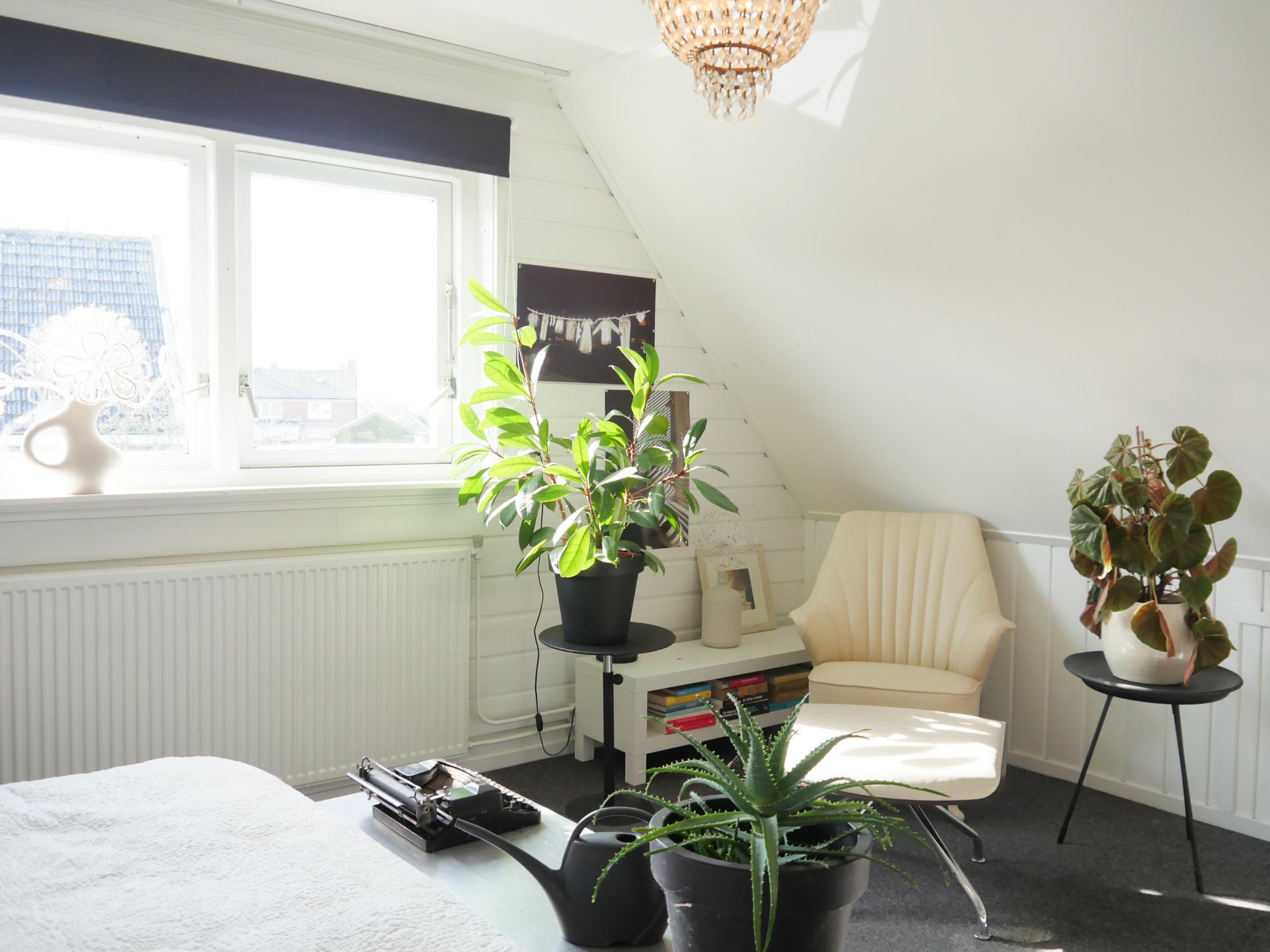 Sfeervol vakantiehuis in hartje Tuitjenhorn, 240m van het centrum - foto 22