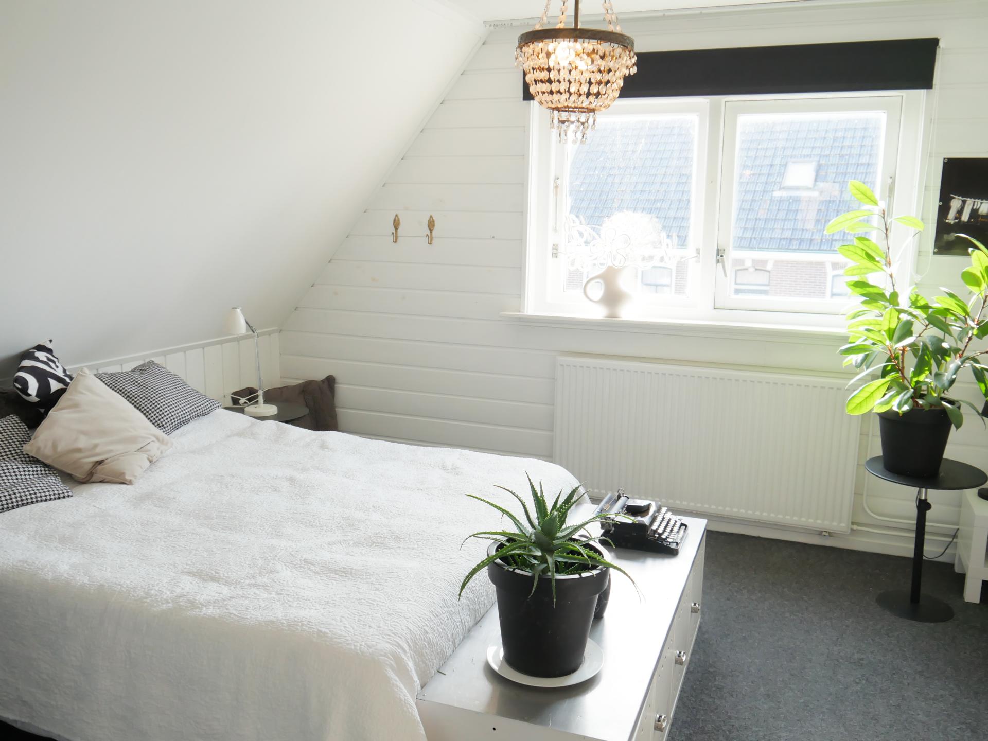 Sfeervol vakantiehuis in hartje Tuitjenhorn, 240m van het centrum - foto 11