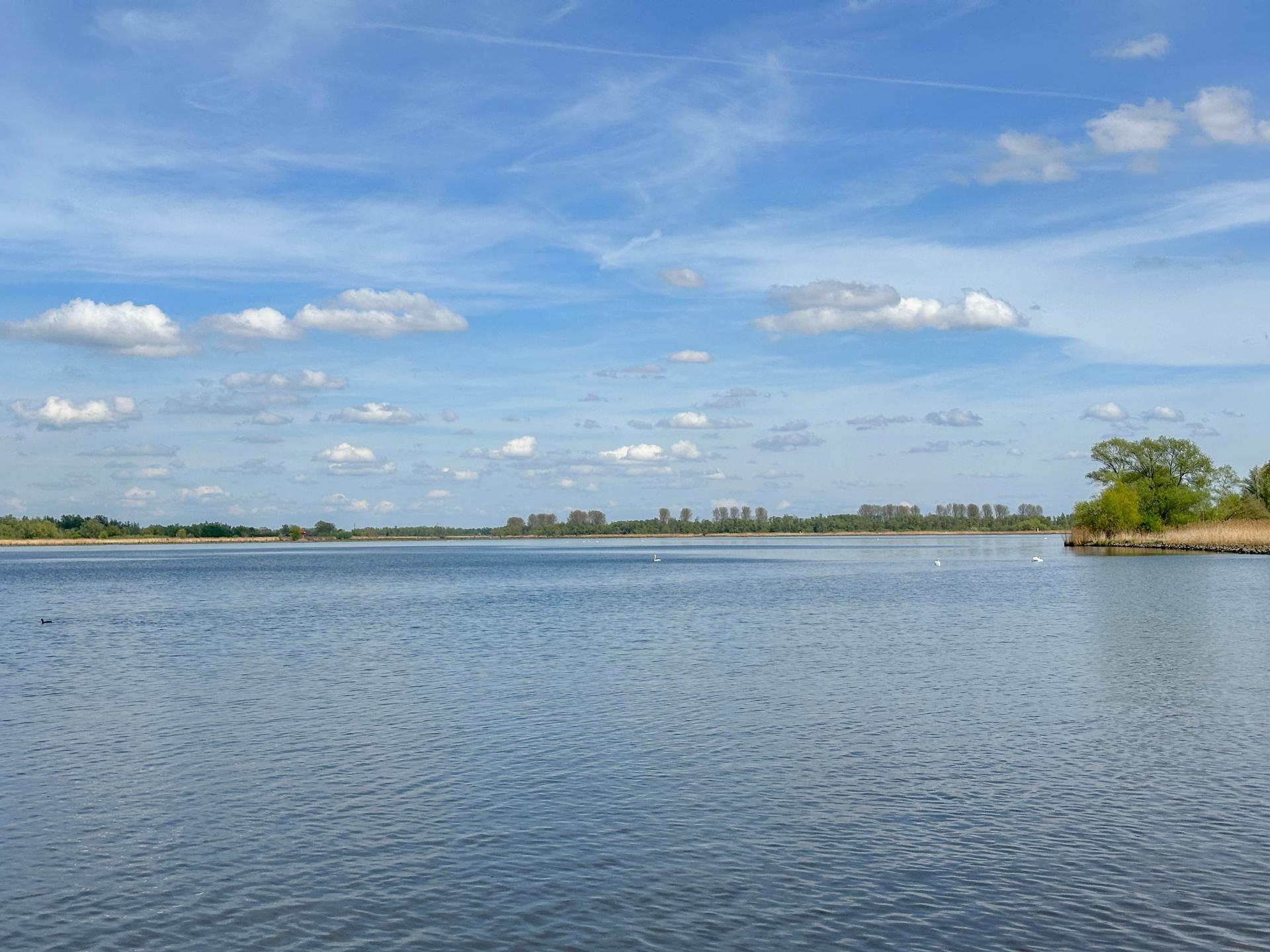 Vrijstaand waterhuis bij de Biesbosch: natuur, rust en avontuur - foto 41