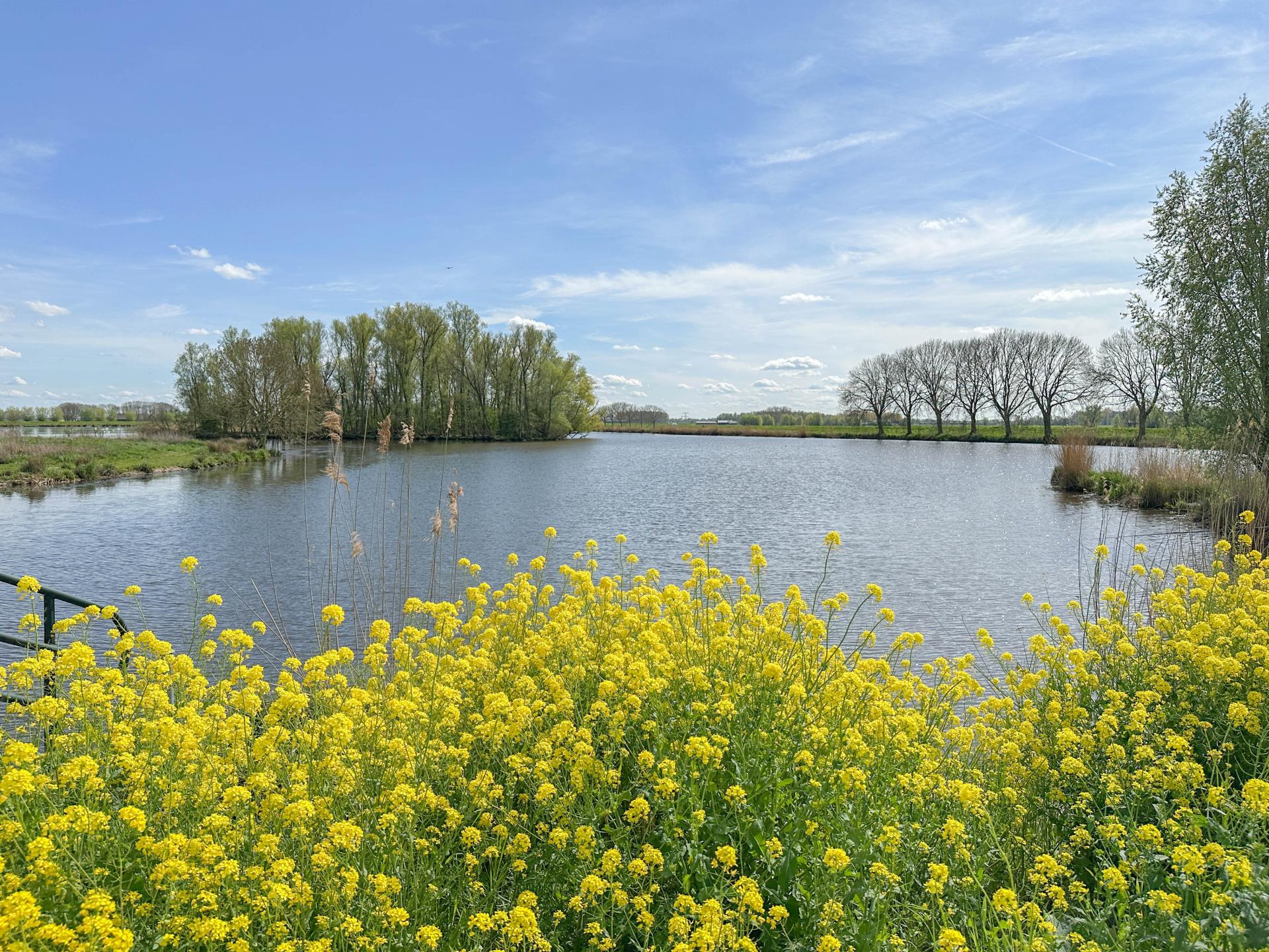 Vrijstaand waterhuis bij de Biesbosch: natuur, rust en avontuur - foto 42
