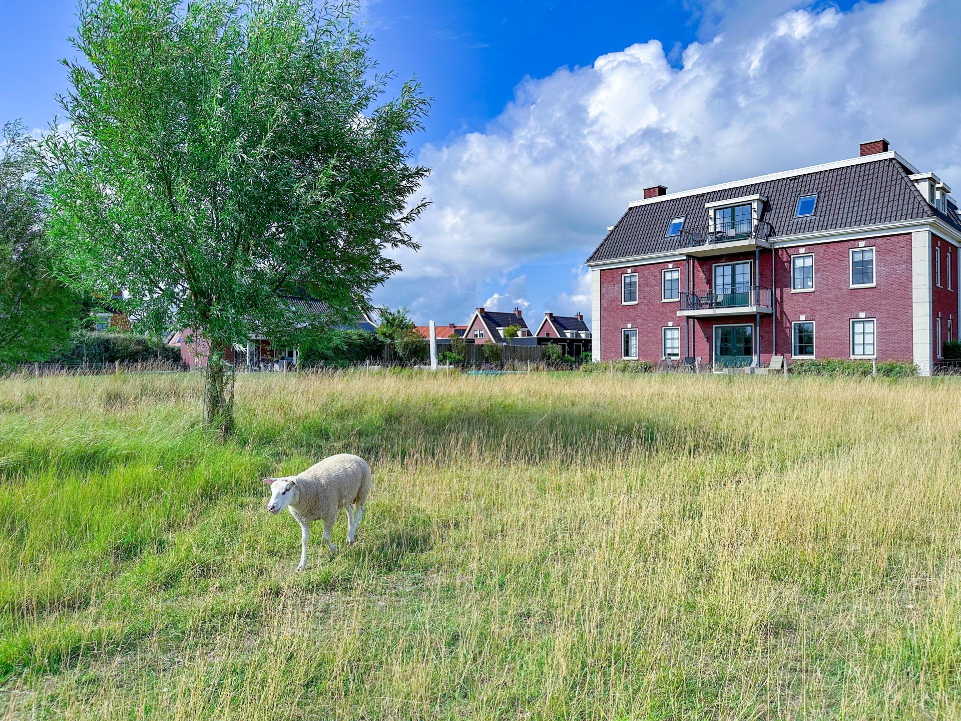 Luxe begane grond appartement met Finse sauna op 500m van het strand - foto 27