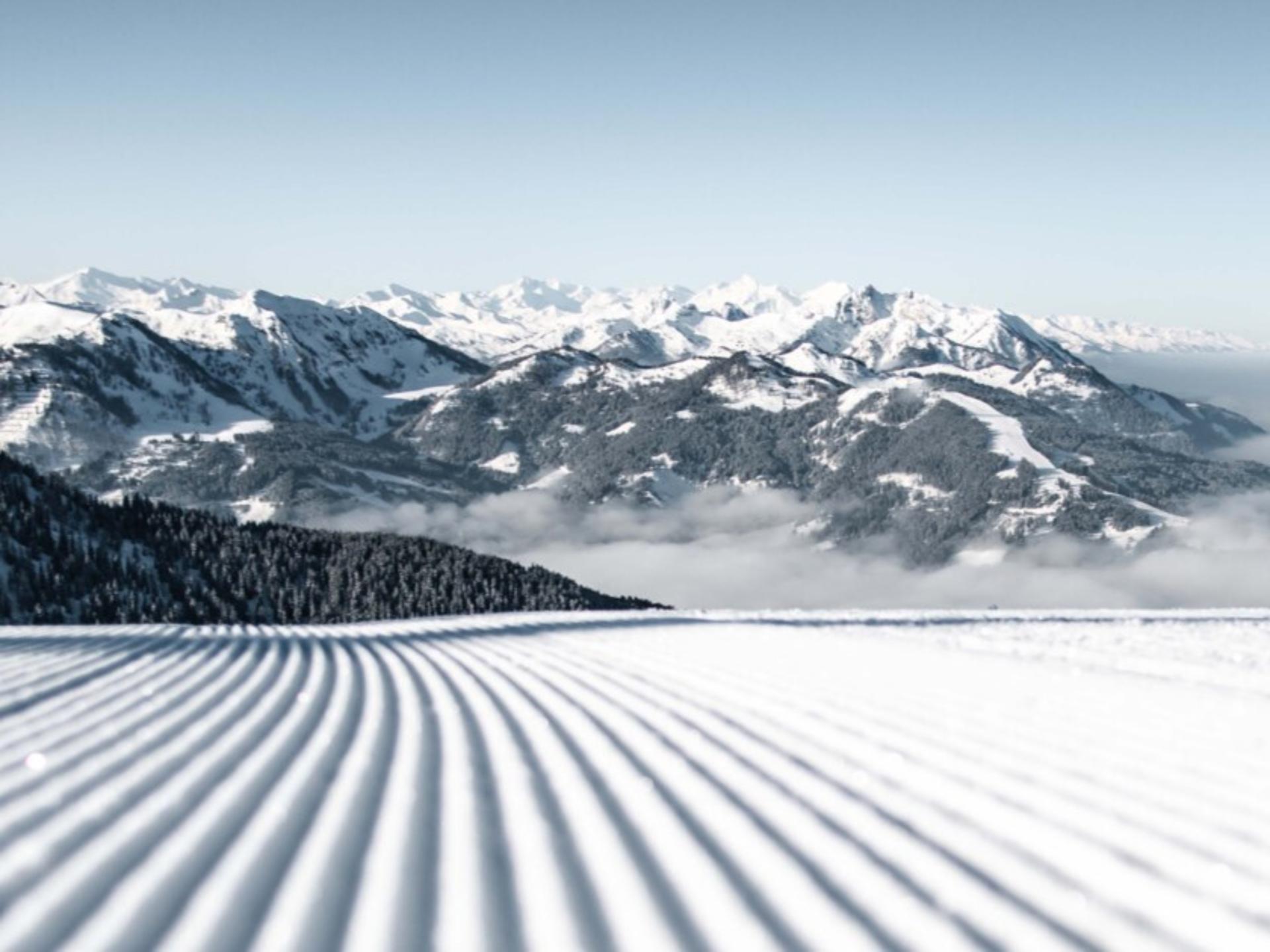 Vrijstaand chalet met sauna en zwemvijver op 250 meter van de skilift - foto 45