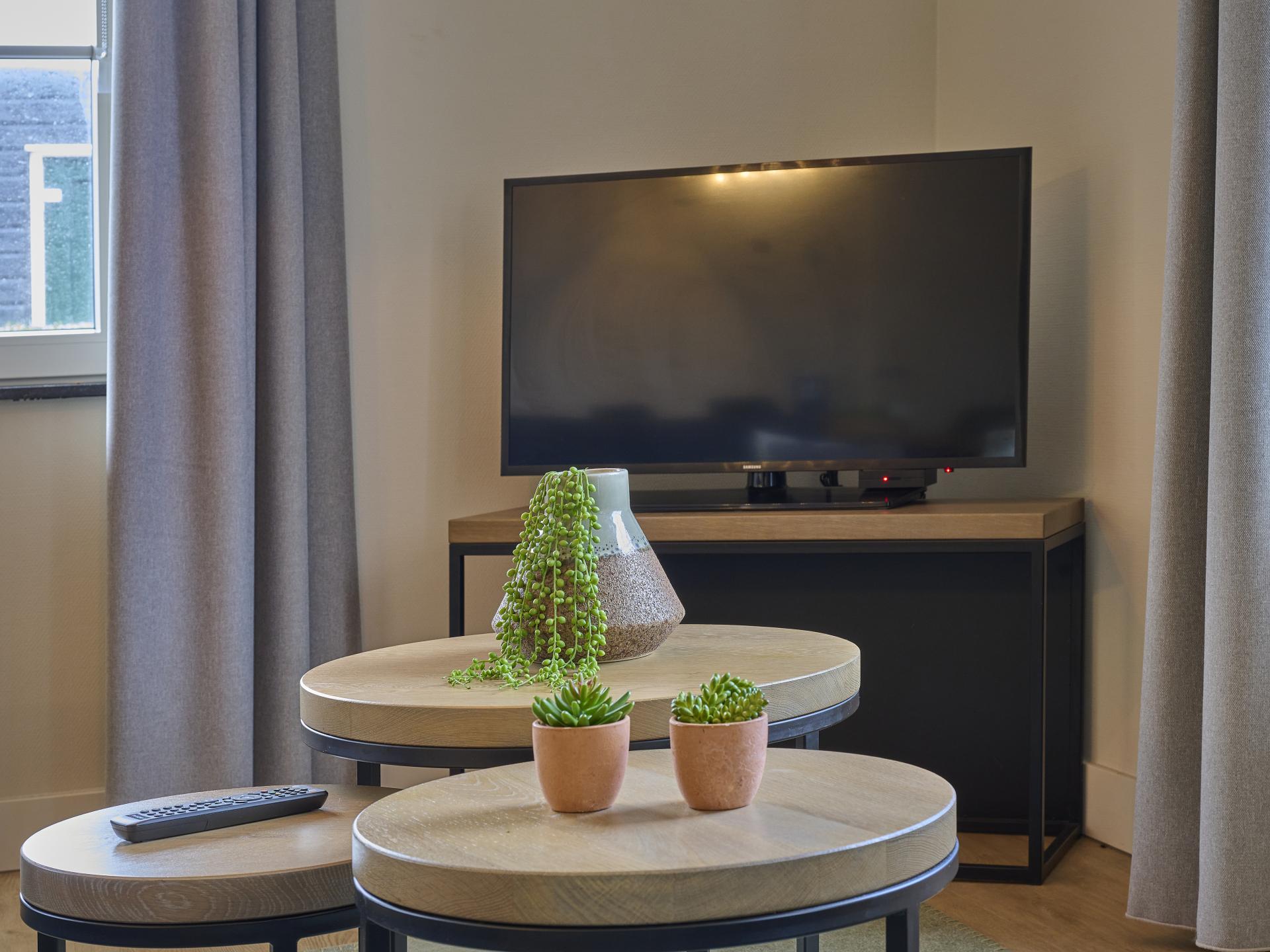 Luxe appartement met sauna en tuin op 500m van het strand in Colijnsplaat - foto 6