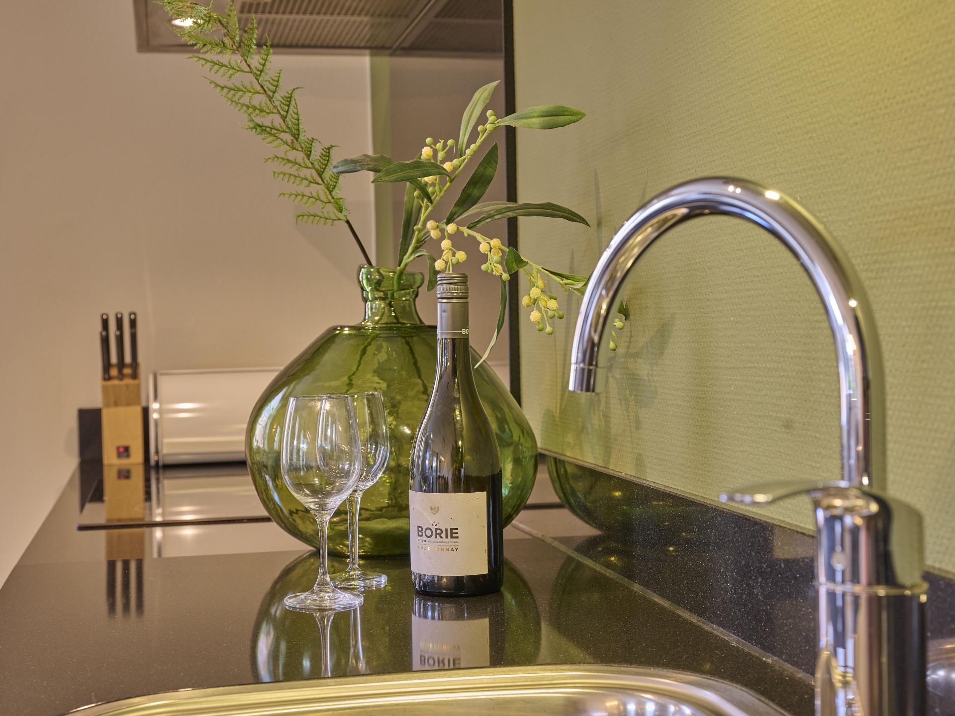 Luxe appartement met sauna en tuin op 500m van het strand in Colijnsplaat - foto 12
