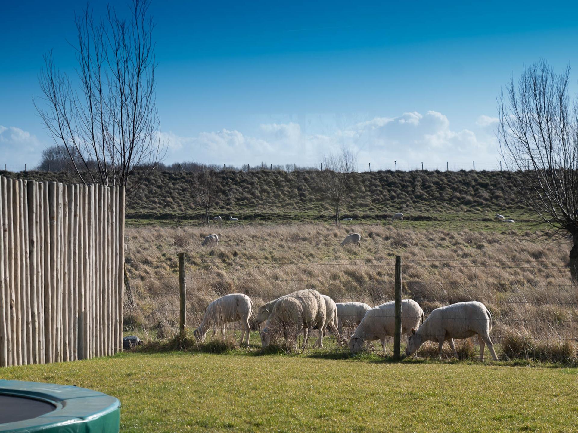 Luxe vrijstaande villa met sauna en tuin op 500m van het strand - foto 37