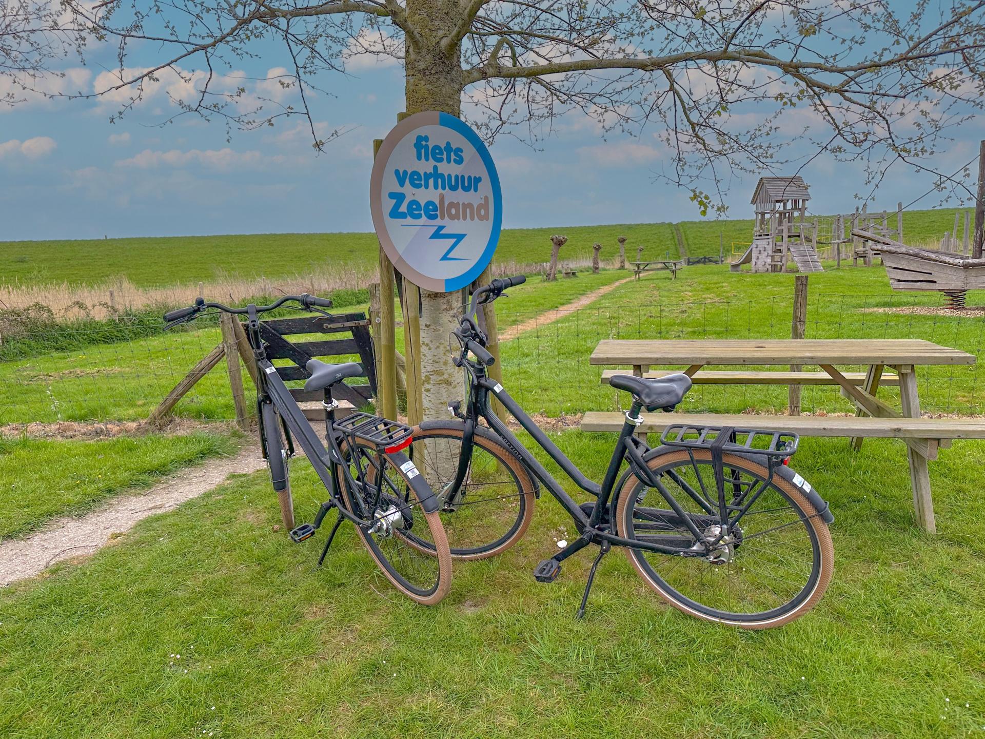 Luxe villa aan Zeeuwse kust met sauna, spabad en tuin - 10 pers - foto 28