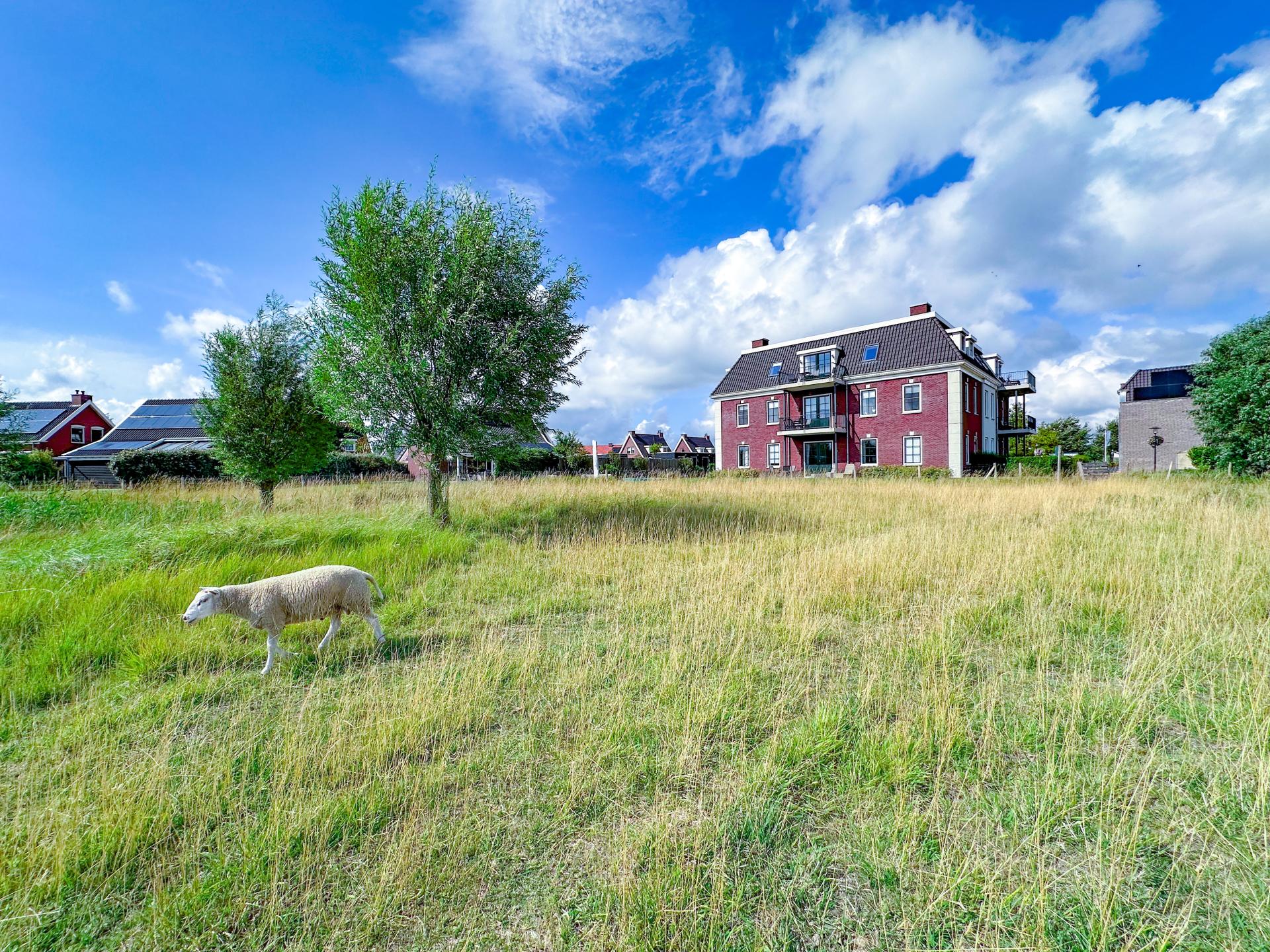 Luxe appartement met Finse sauna, spa-bad en zeezicht in Colijnsplaat - foto 26