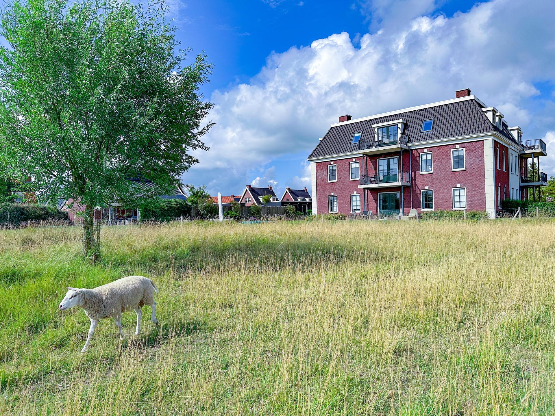 Luxe appartement met Finse sauna op 500m van het Noordzeestrand - foto 14