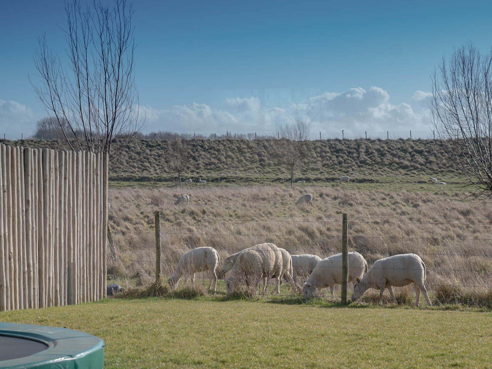 Luxe villa met sauna en spa op 500m van het strand in Colijnsplaat - foto 33